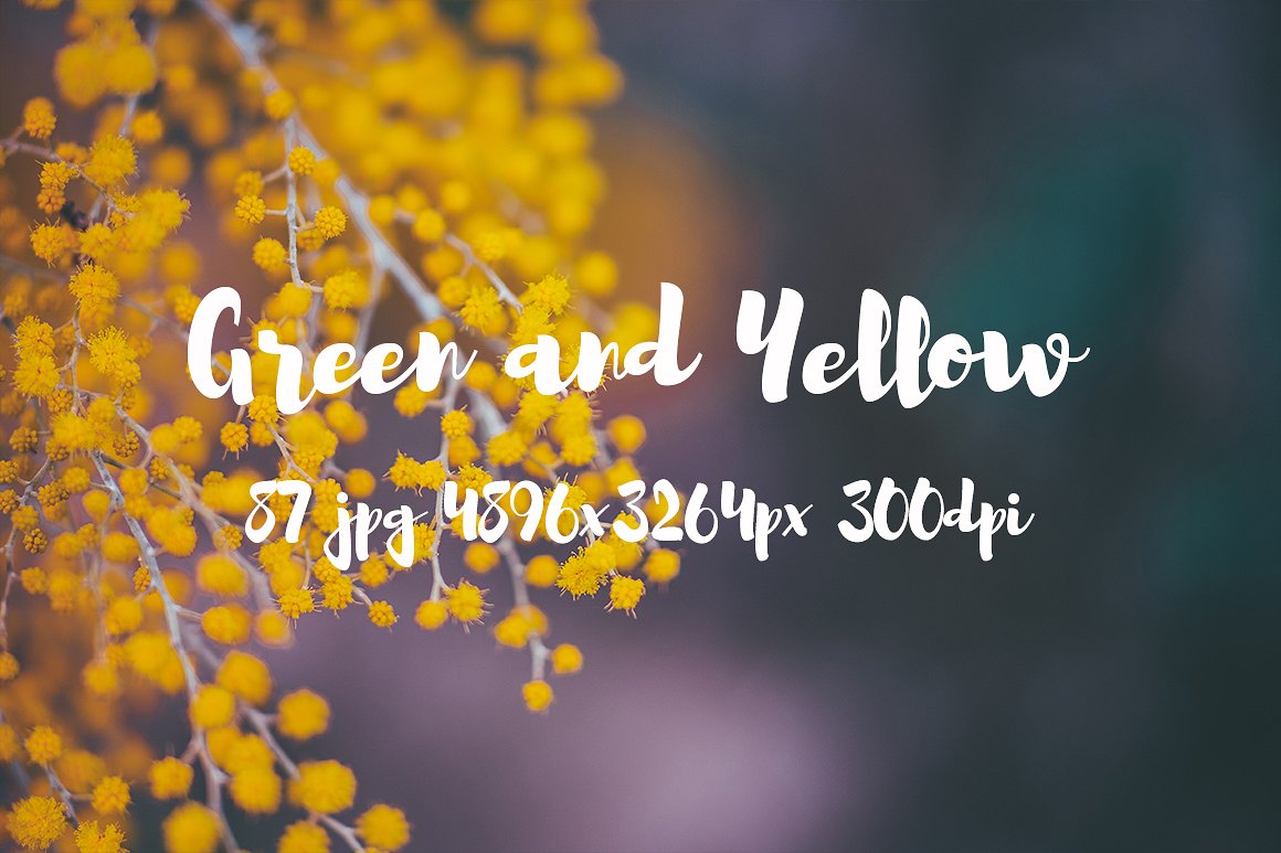 Green and yellow photo pack