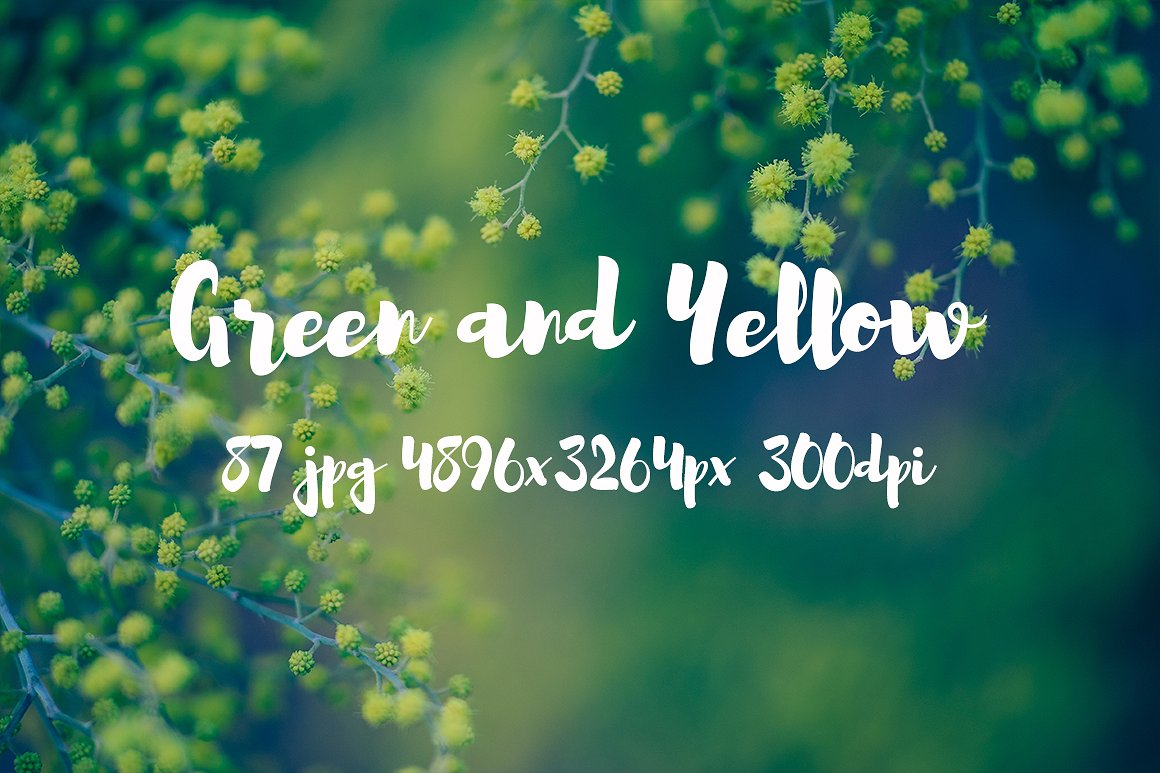 Green and yellow photo pack