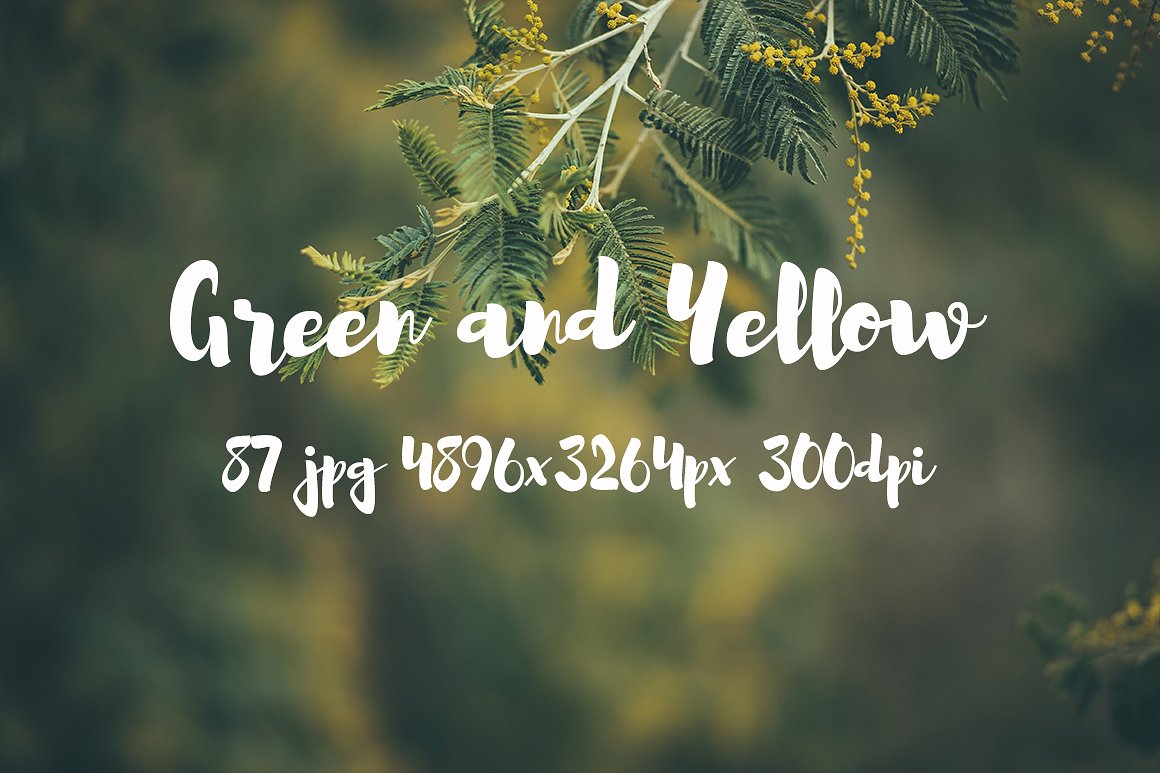 Green and yellow photo pack