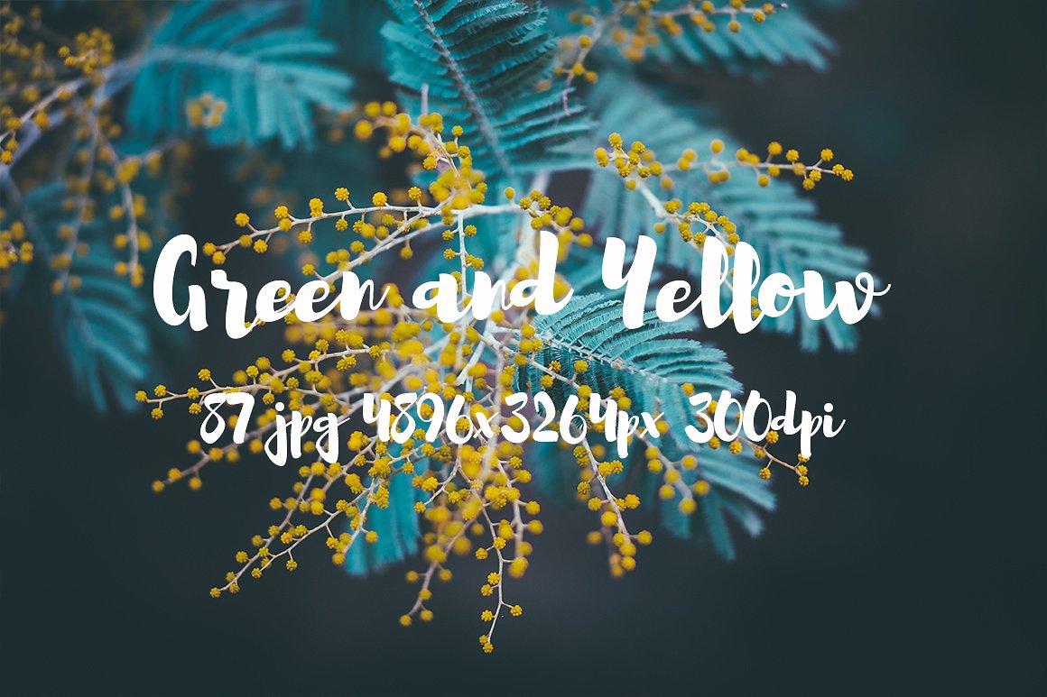 Green and yellow photo pack