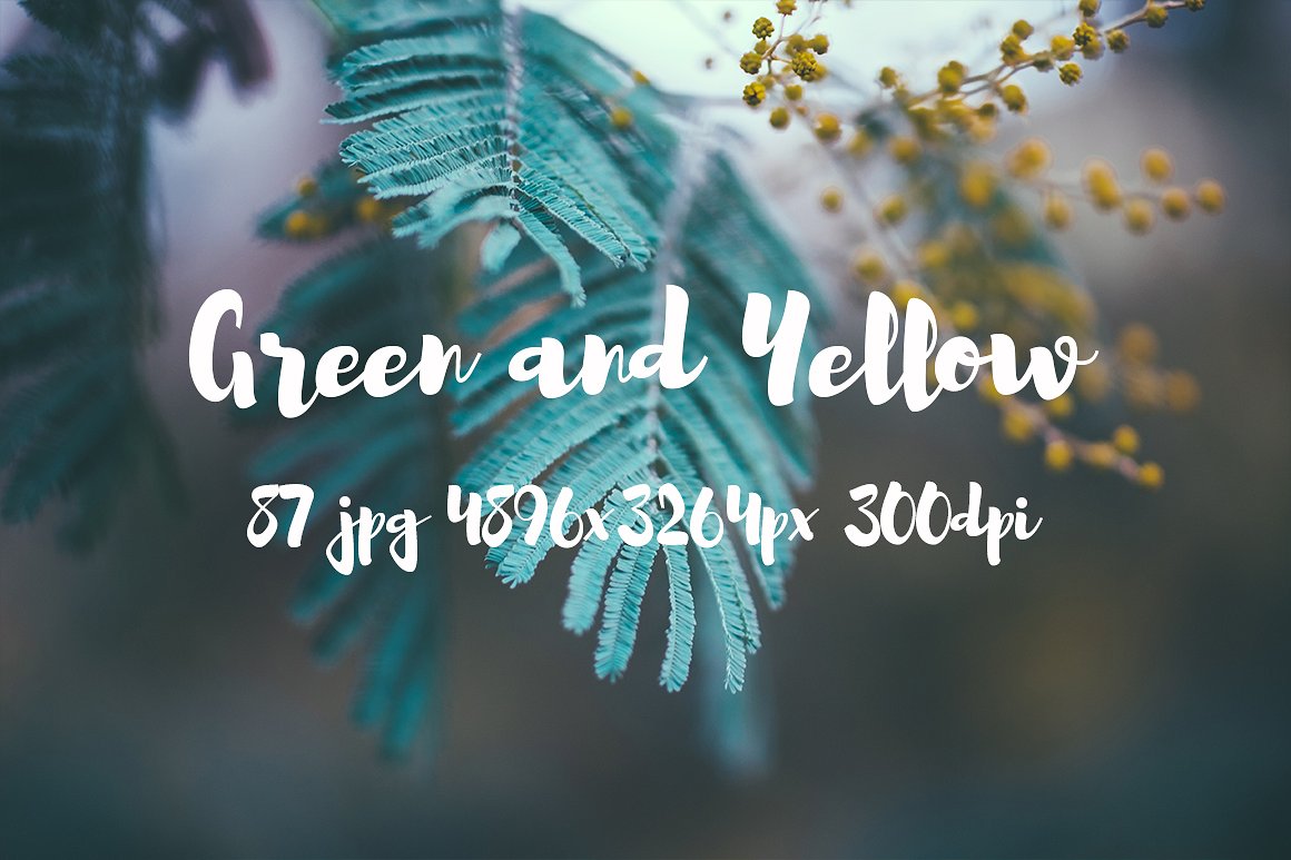 Green and yellow photo pack