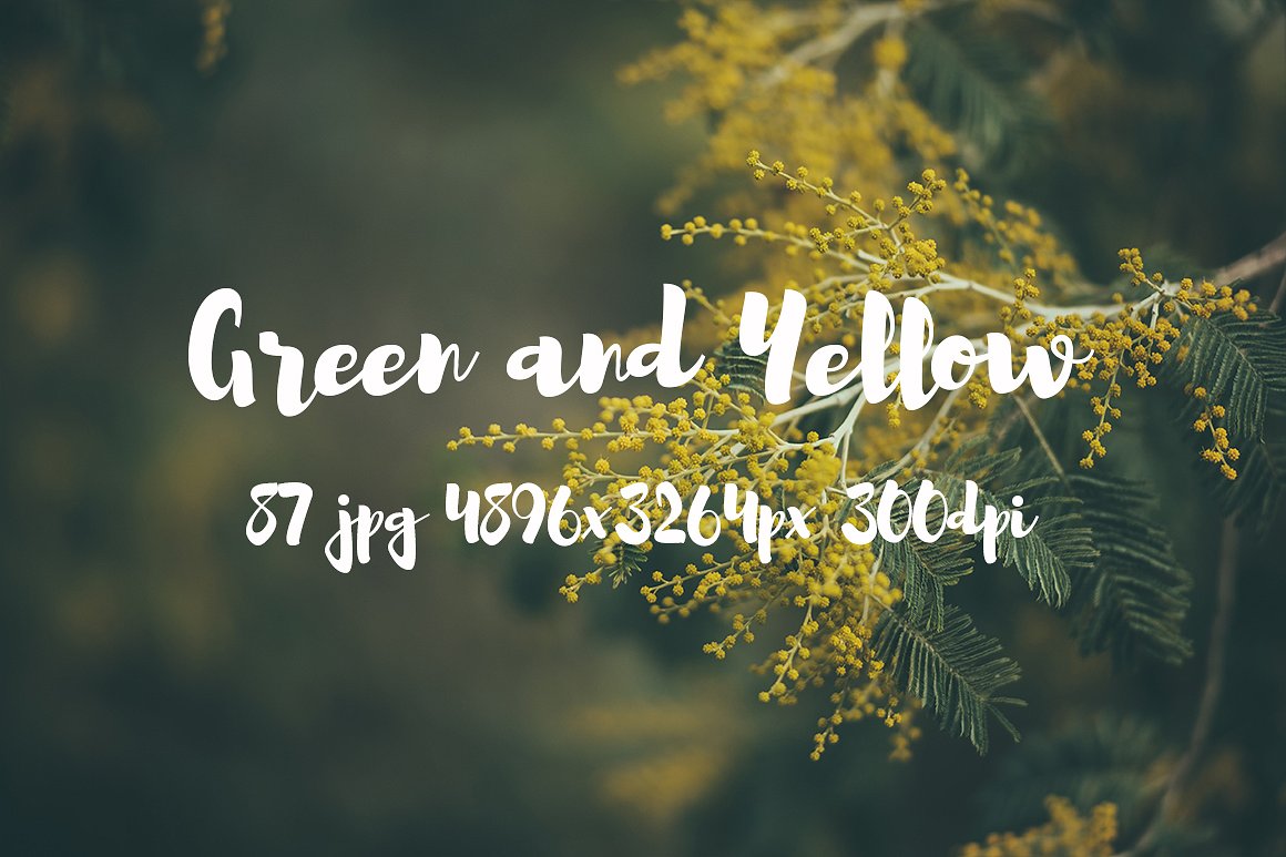 Green and yellow photo pack