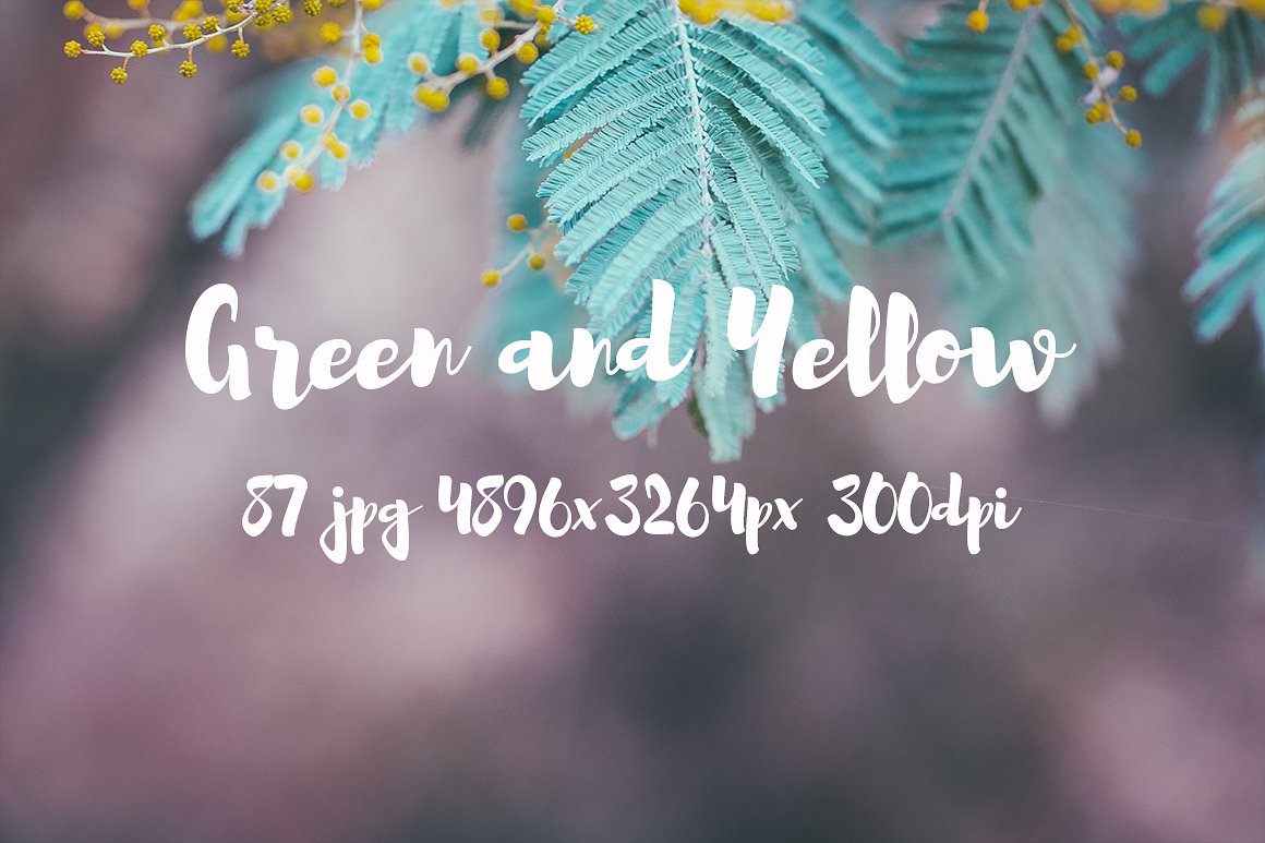 Green and yellow photo pack