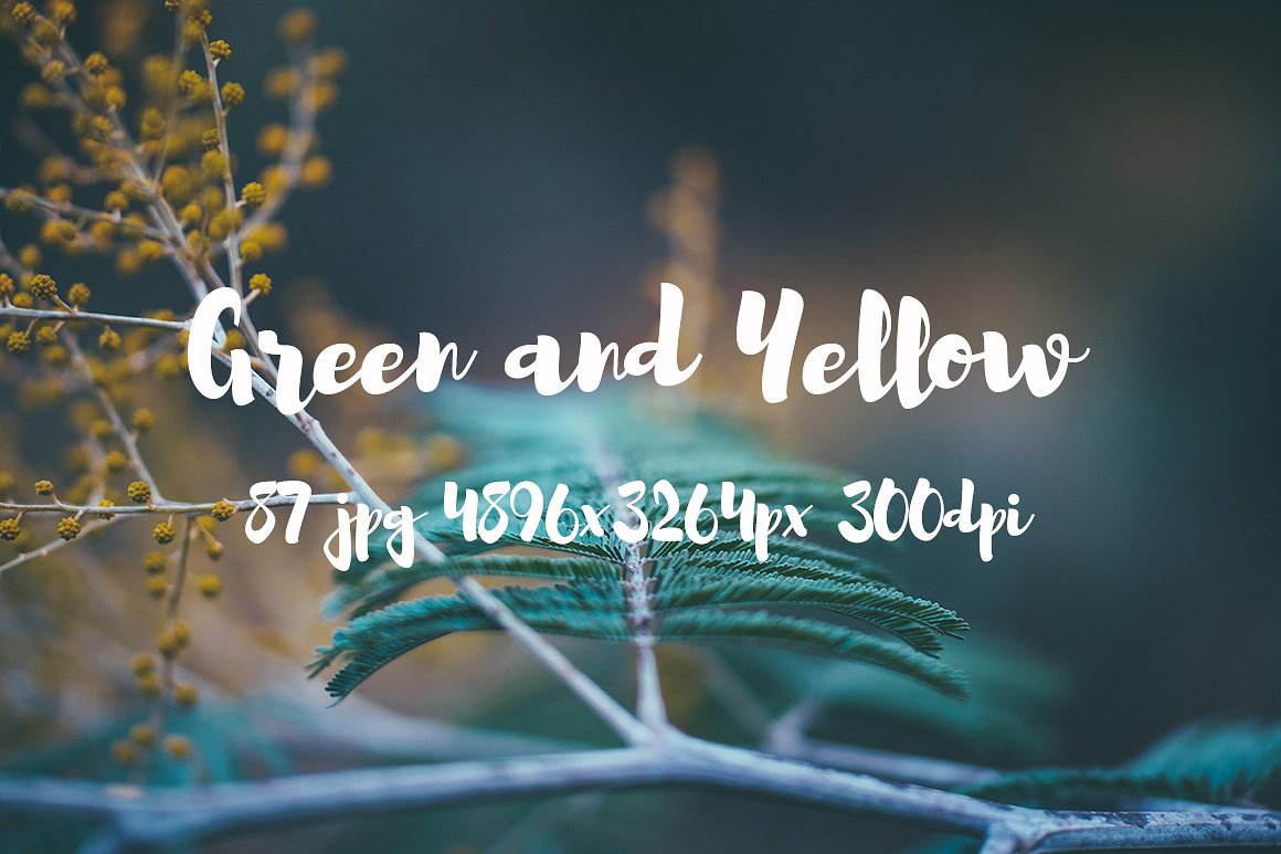 Green and yellow photo pack