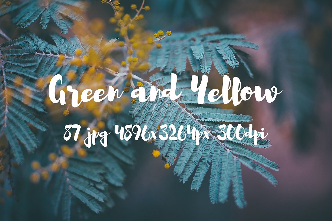 Green and yellow photo pack