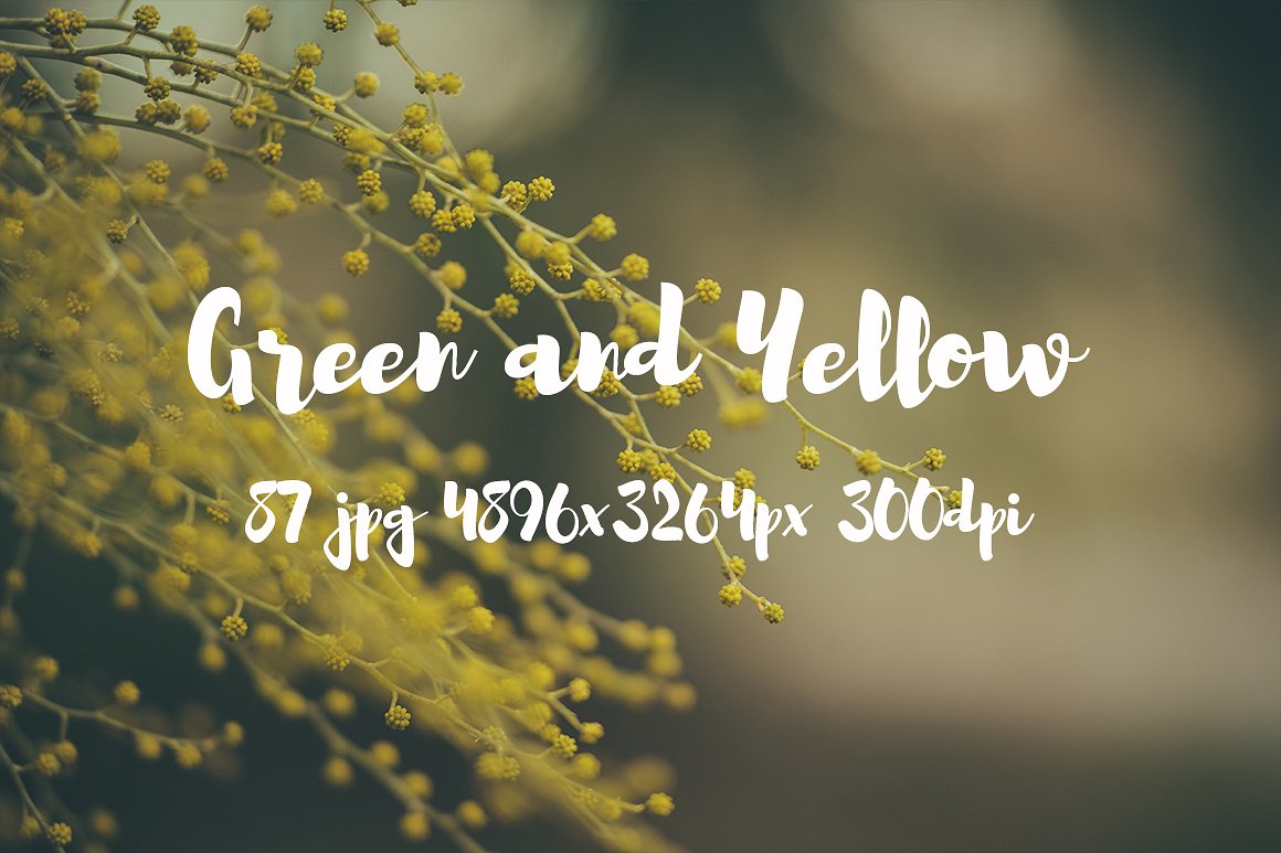 Green and yellow photo pack