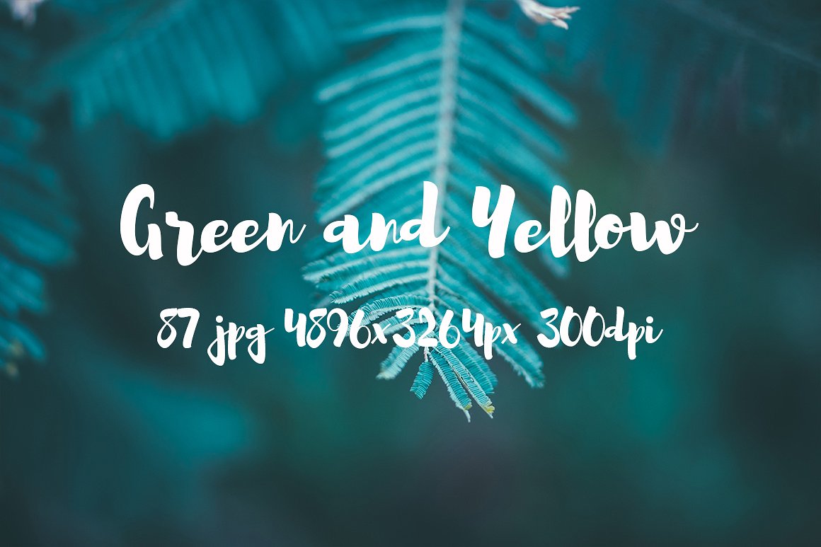 Green and yellow photo pack