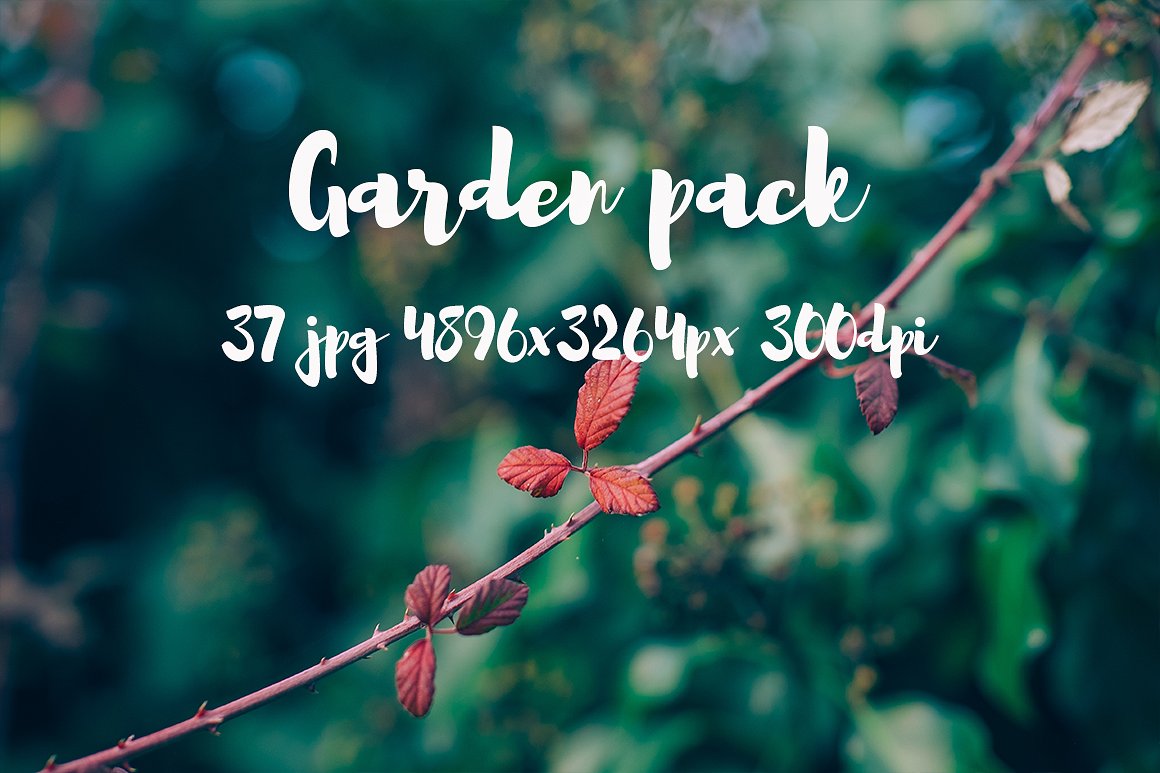 Garden photo Pack III