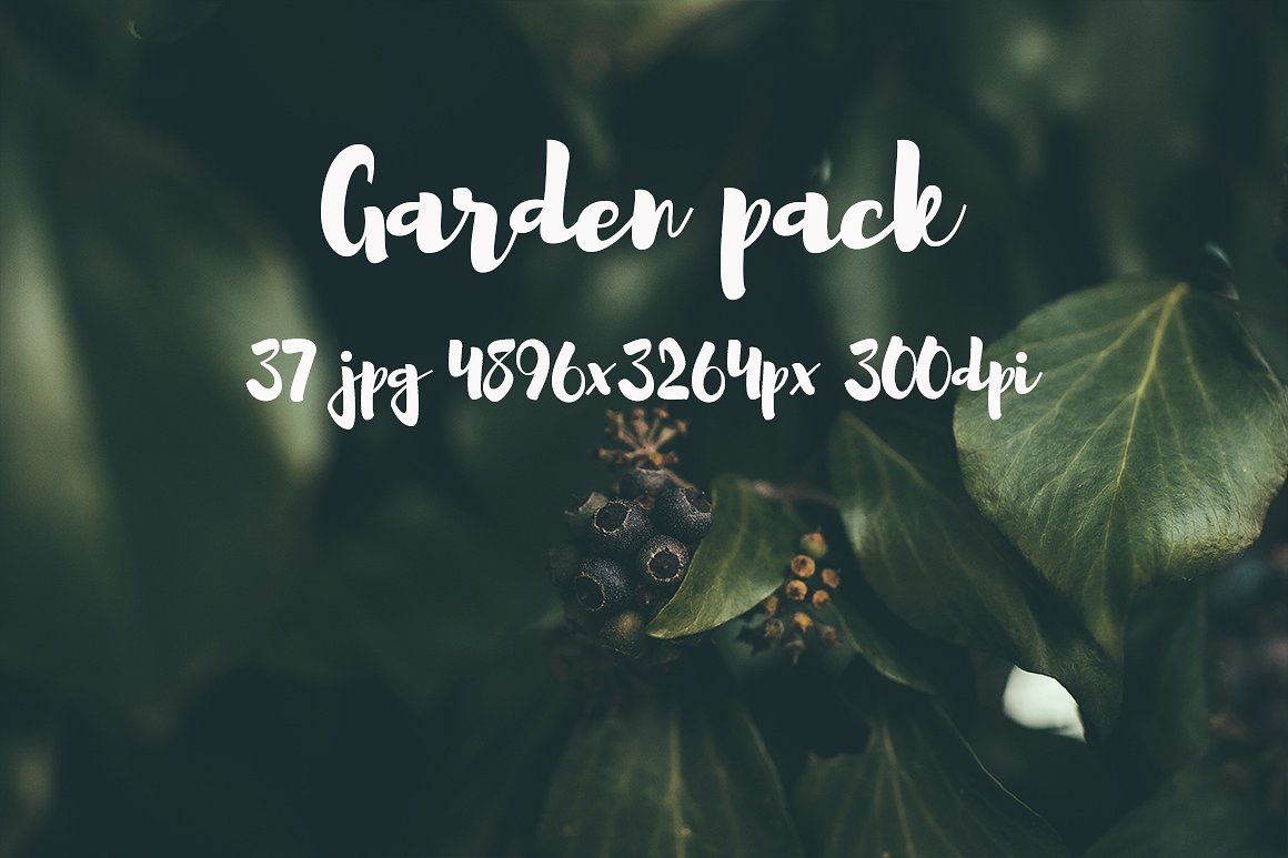 Garden photo Pack III