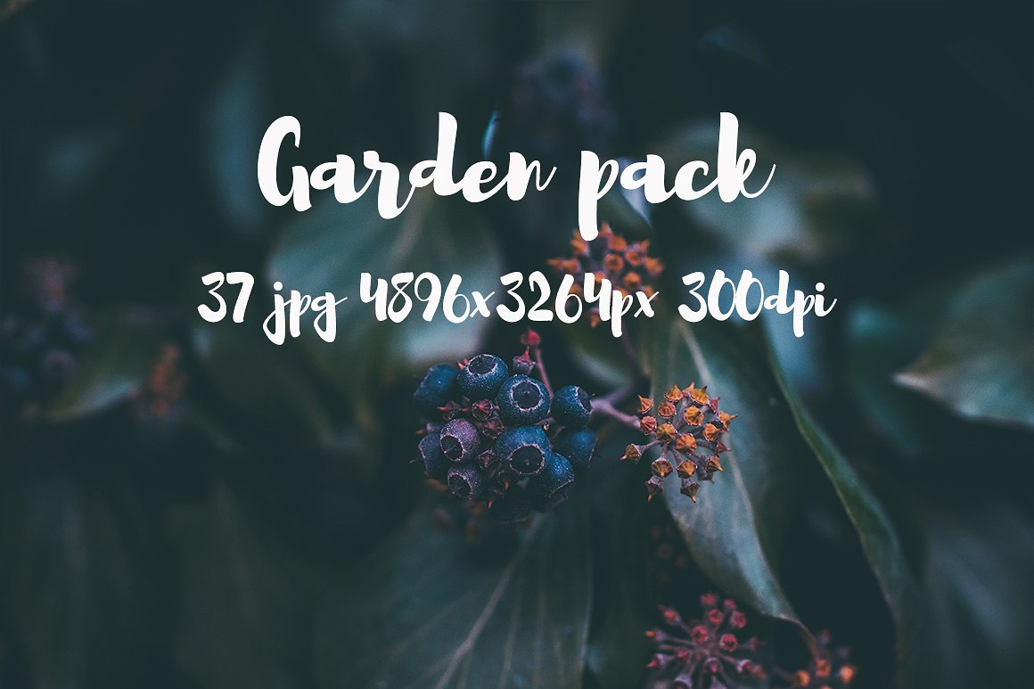 Garden photo Pack III