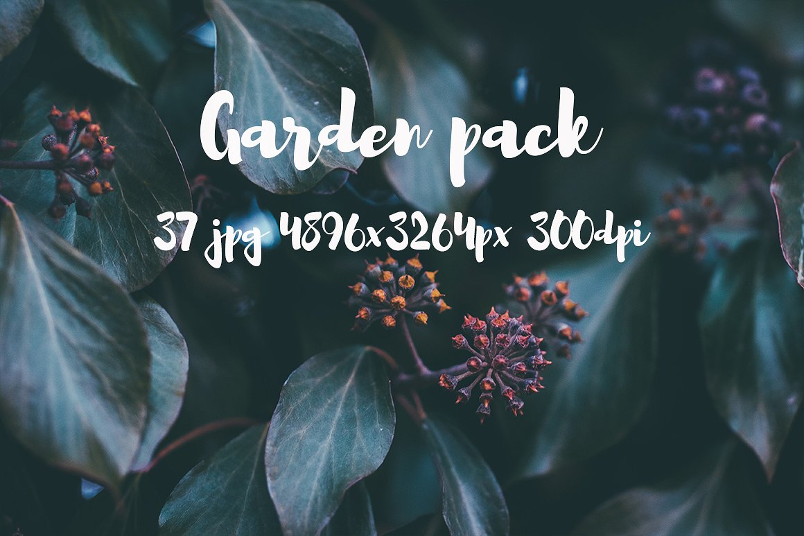 Garden photo Pack III