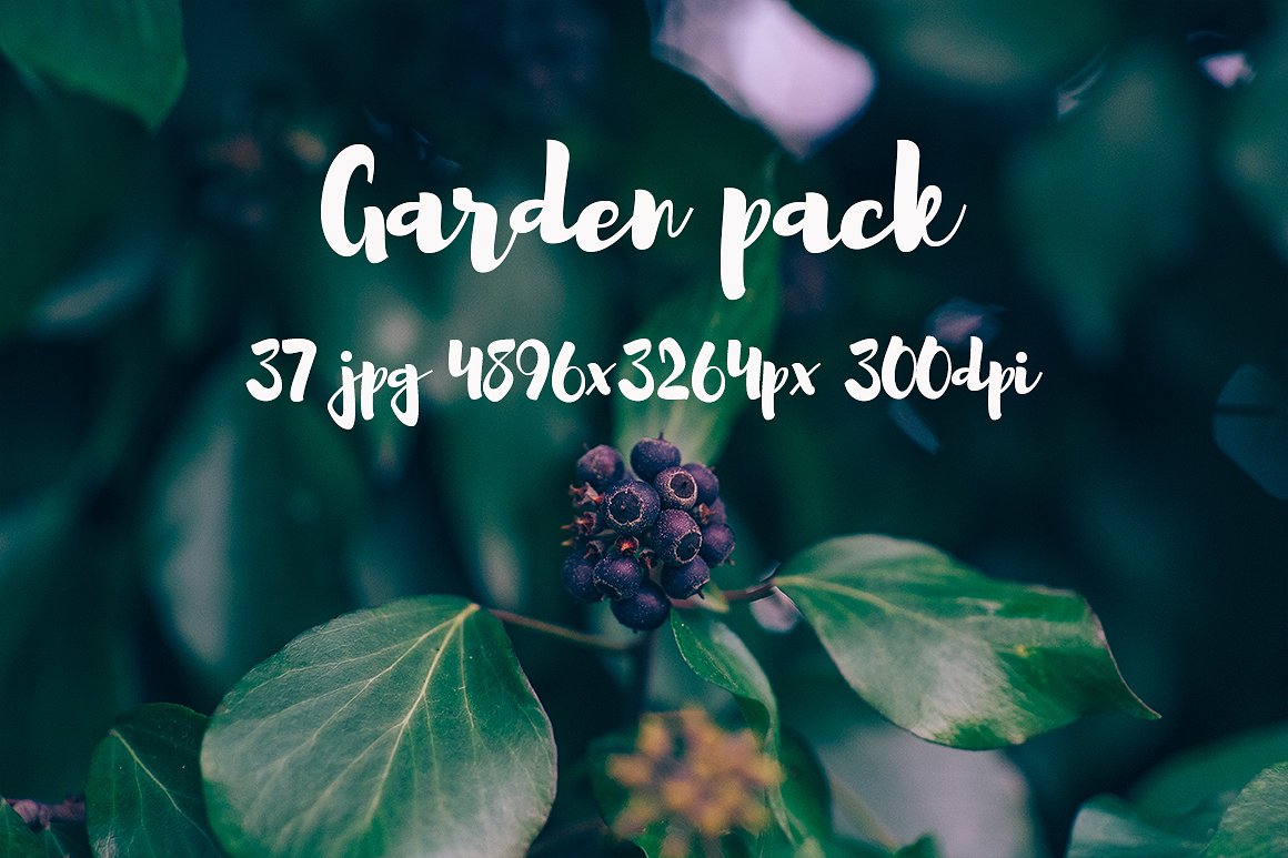 Garden photo Pack III