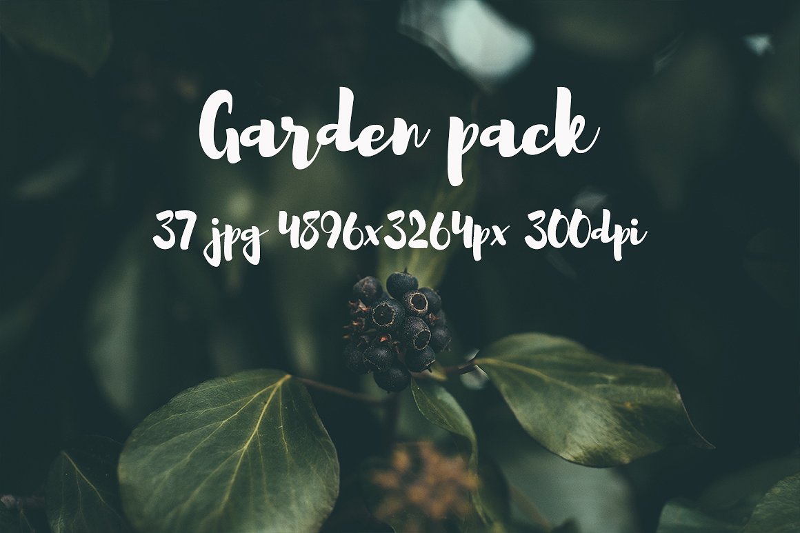 Garden photo Pack III