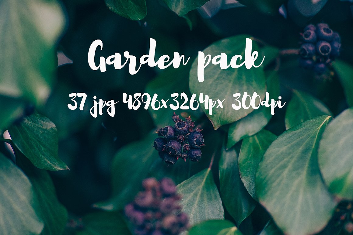 Garden photo Pack III