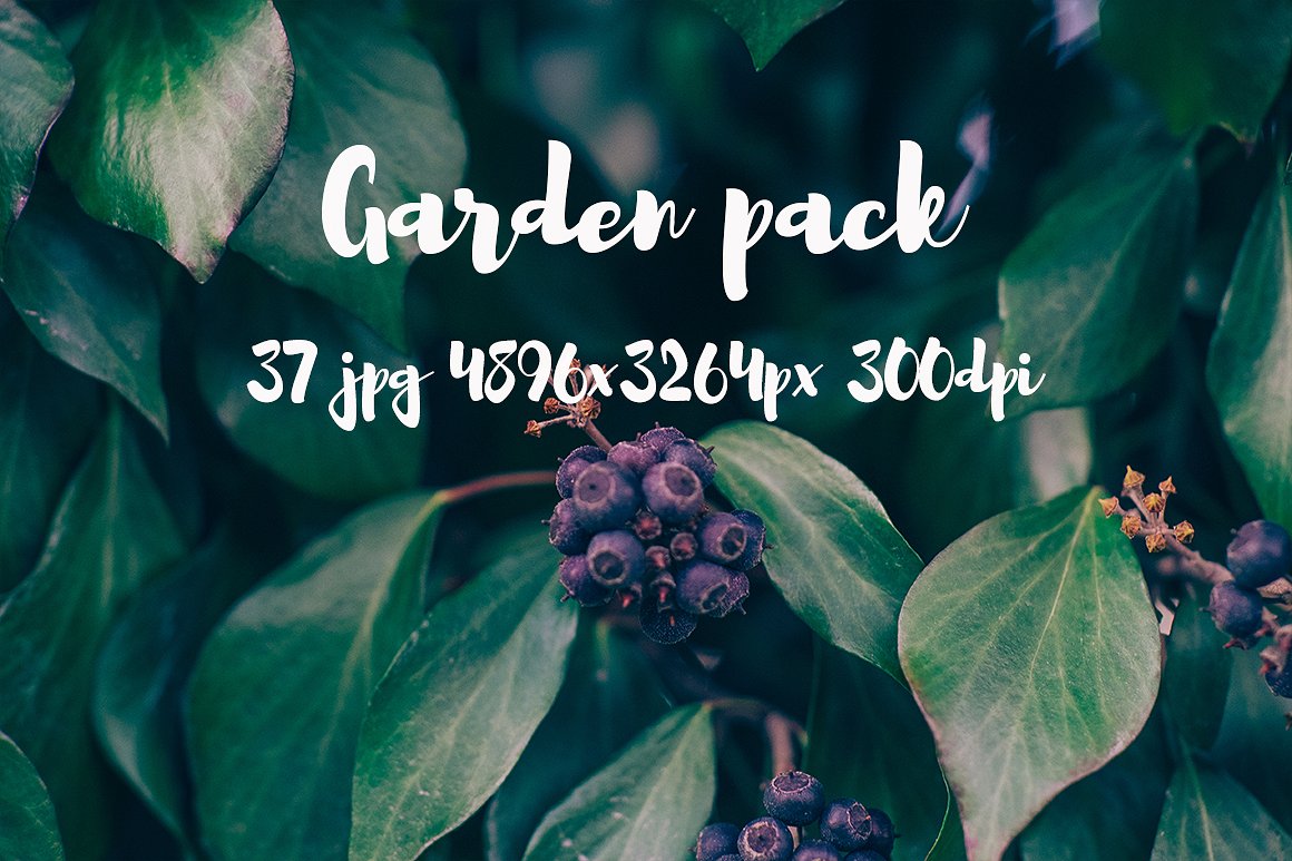 Garden photo Pack III