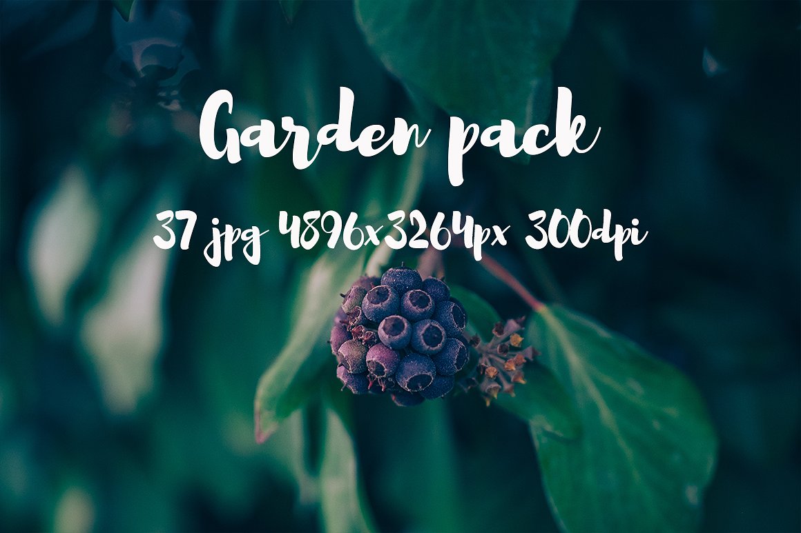 Garden photo Pack III