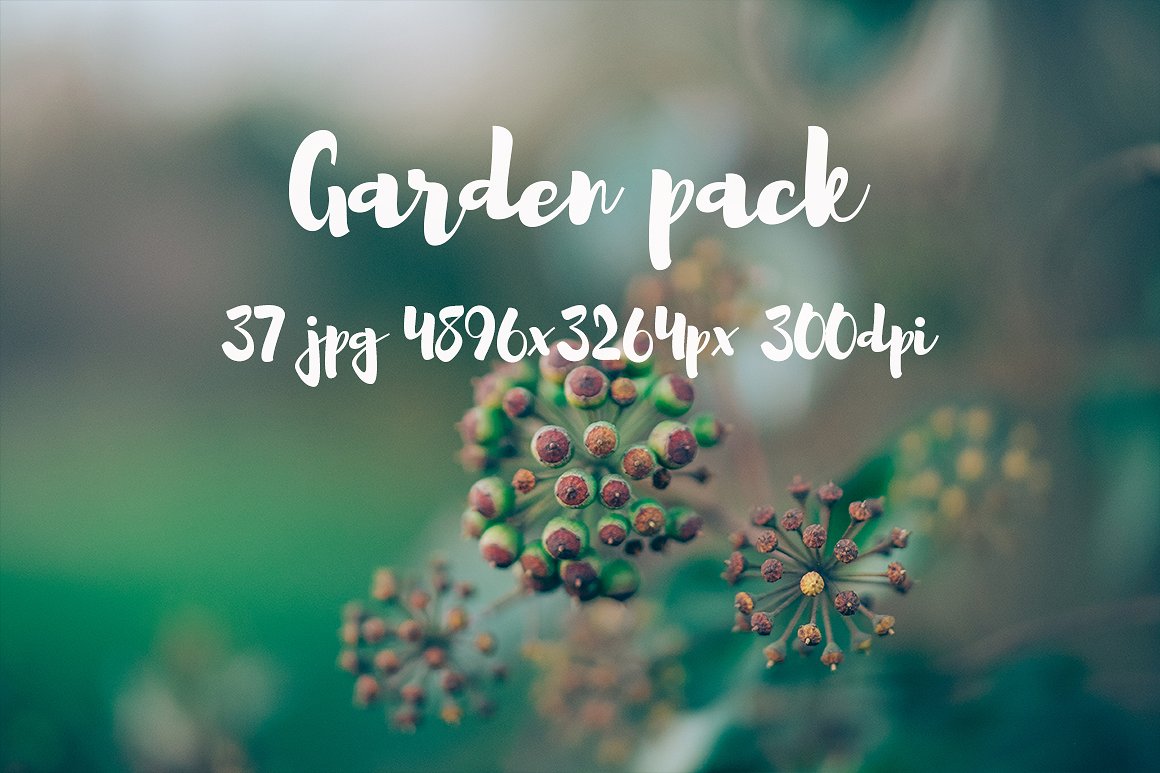 Garden photo Pack III