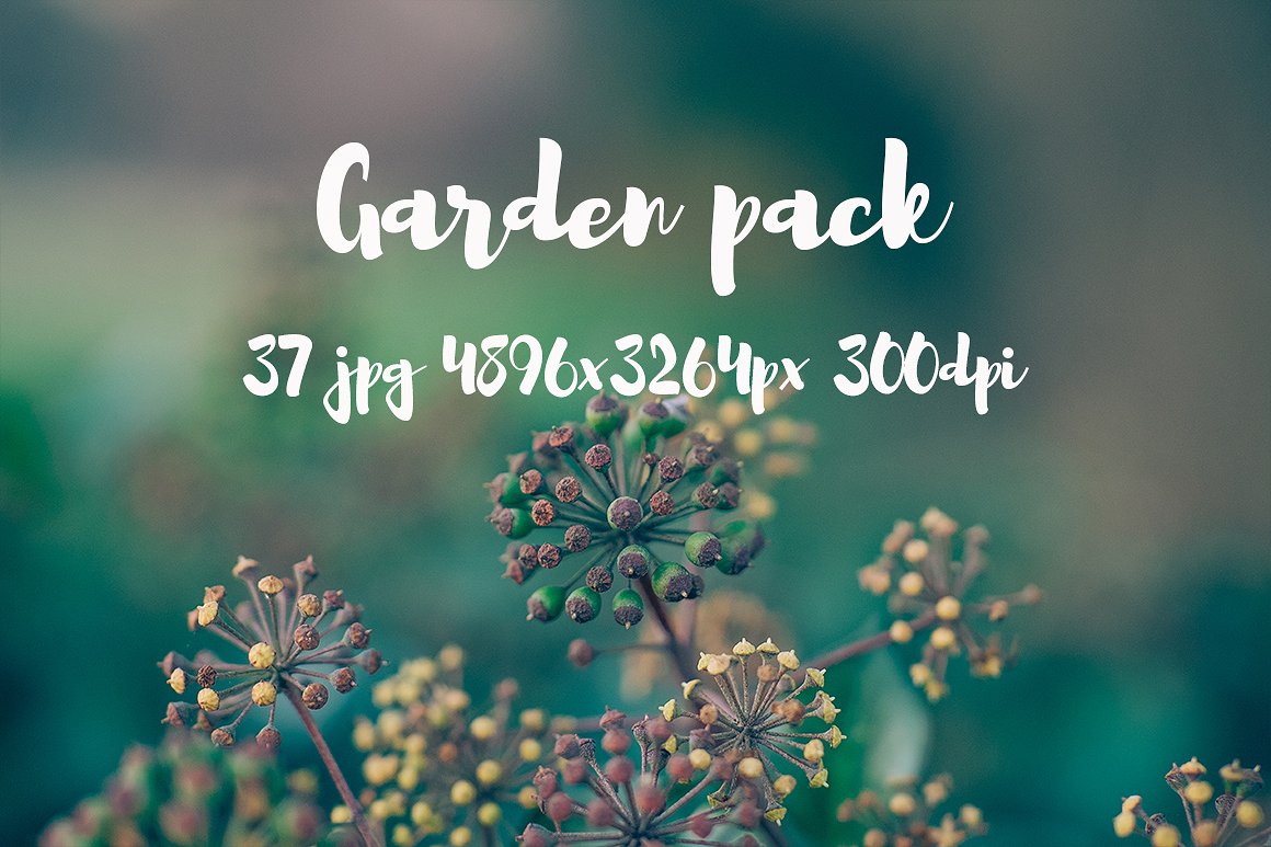 Garden photo Pack III