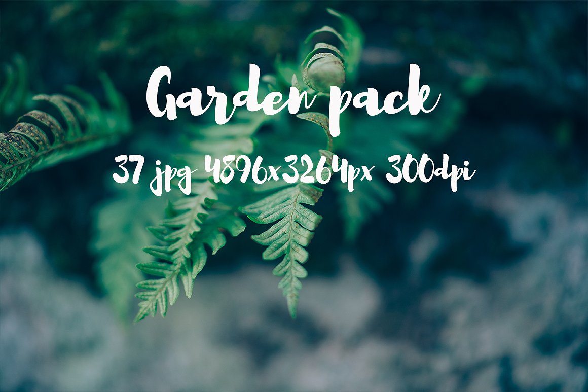 Garden photo Pack III