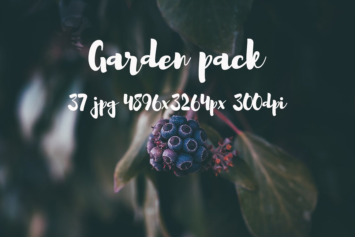Garden photo Pack III