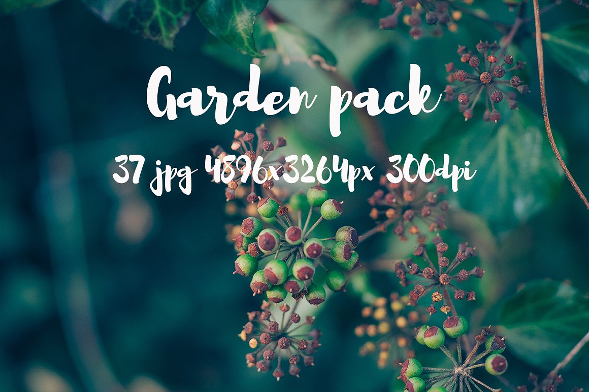 Garden photo Pack III