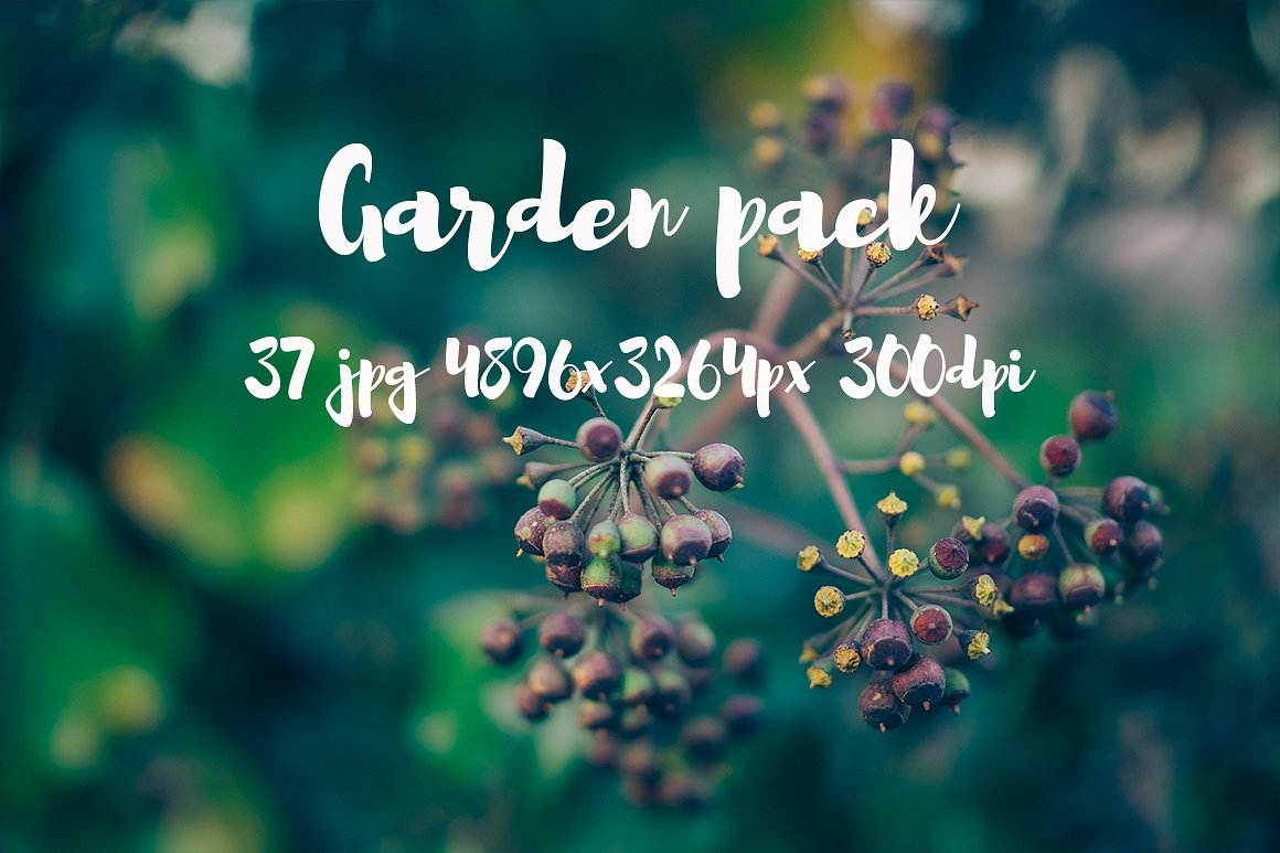 Garden photo Pack III