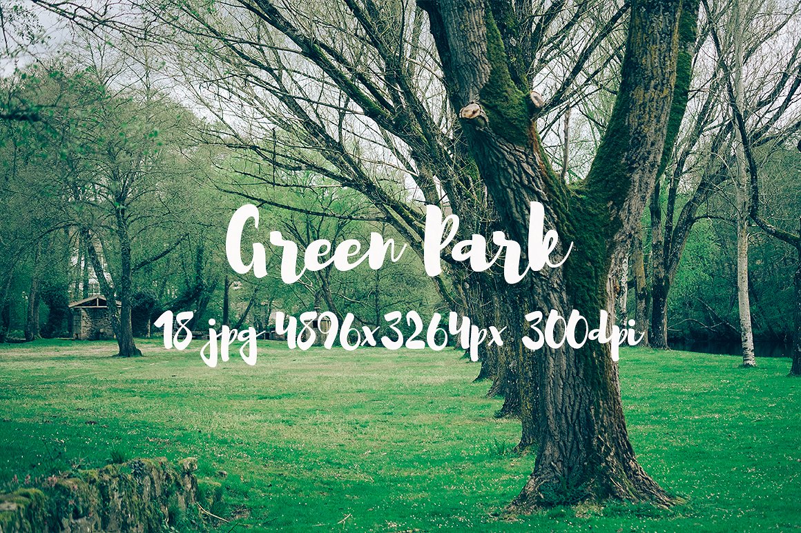 Green Park bundle