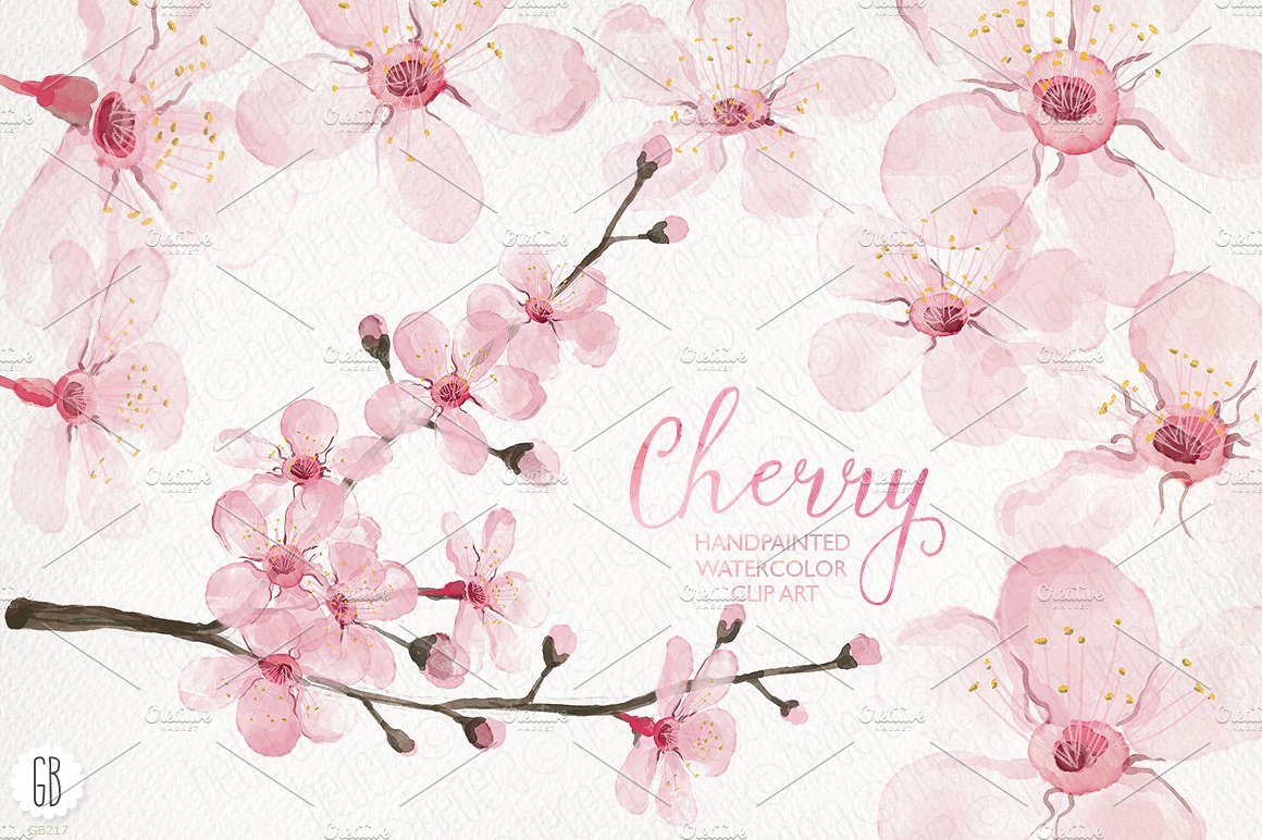 手绘水彩桃花设计素材Watercolor cherry bl