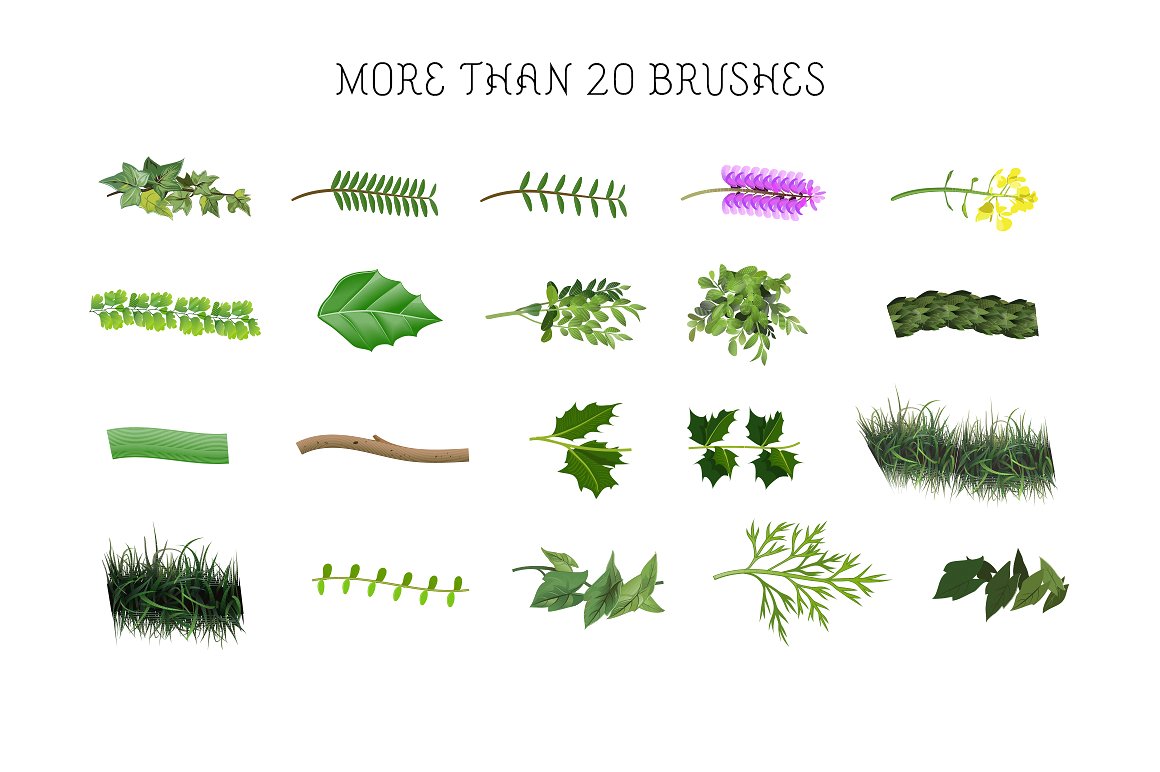 创意植物设计素材 Botanical Brushes &am