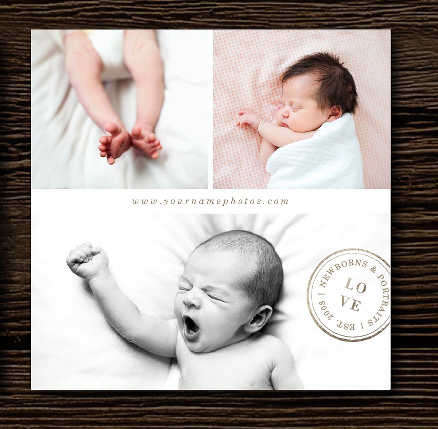 Newborn Mini Session Template