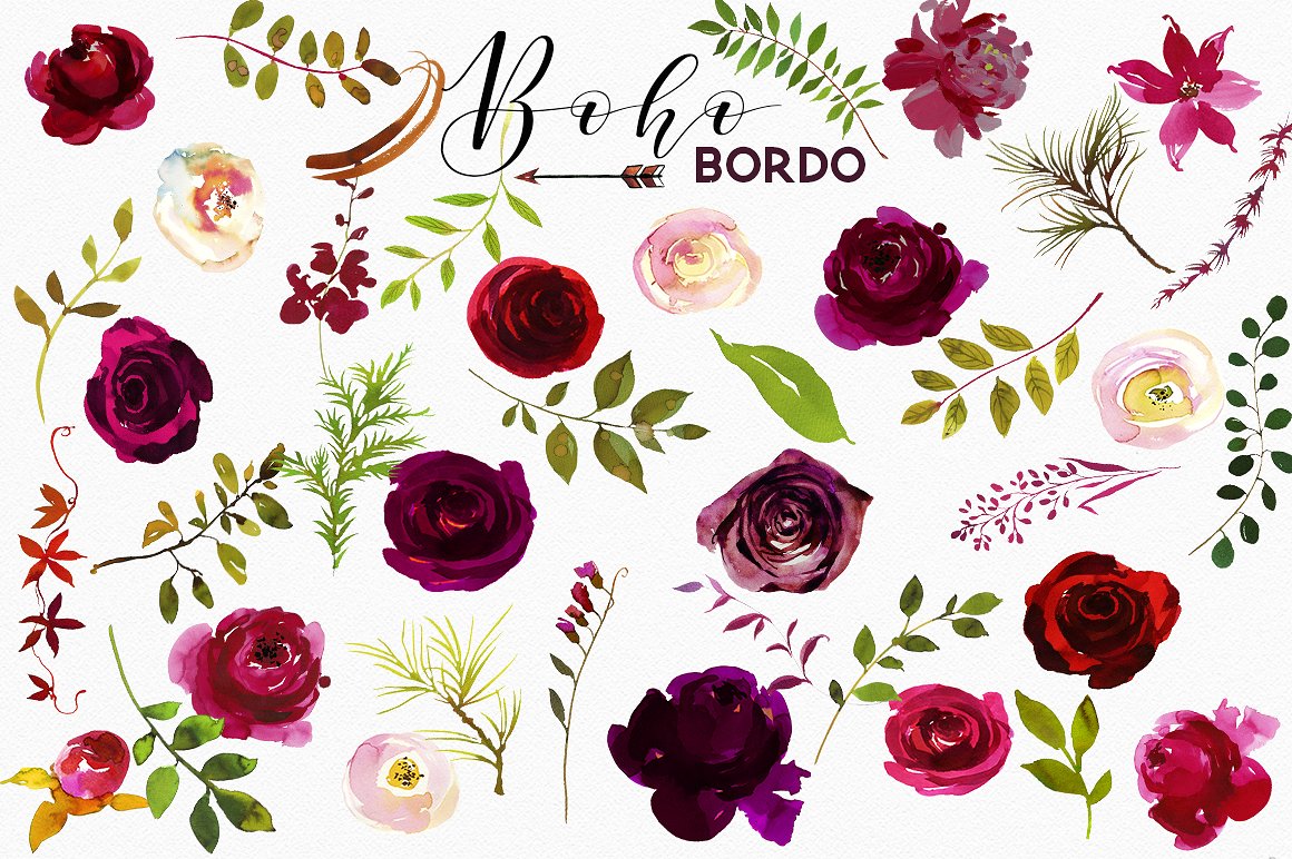 Boho Bordo Watercolor Flowers