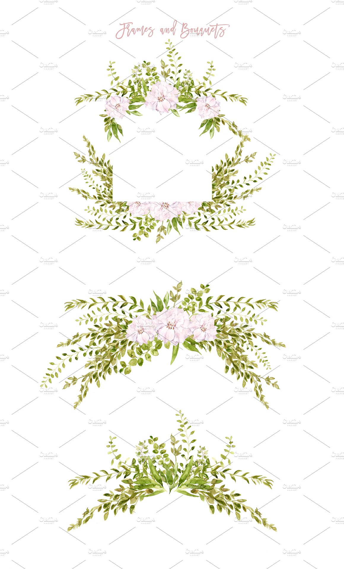 手绘水彩花卉植物设计素材Lush Greenery &