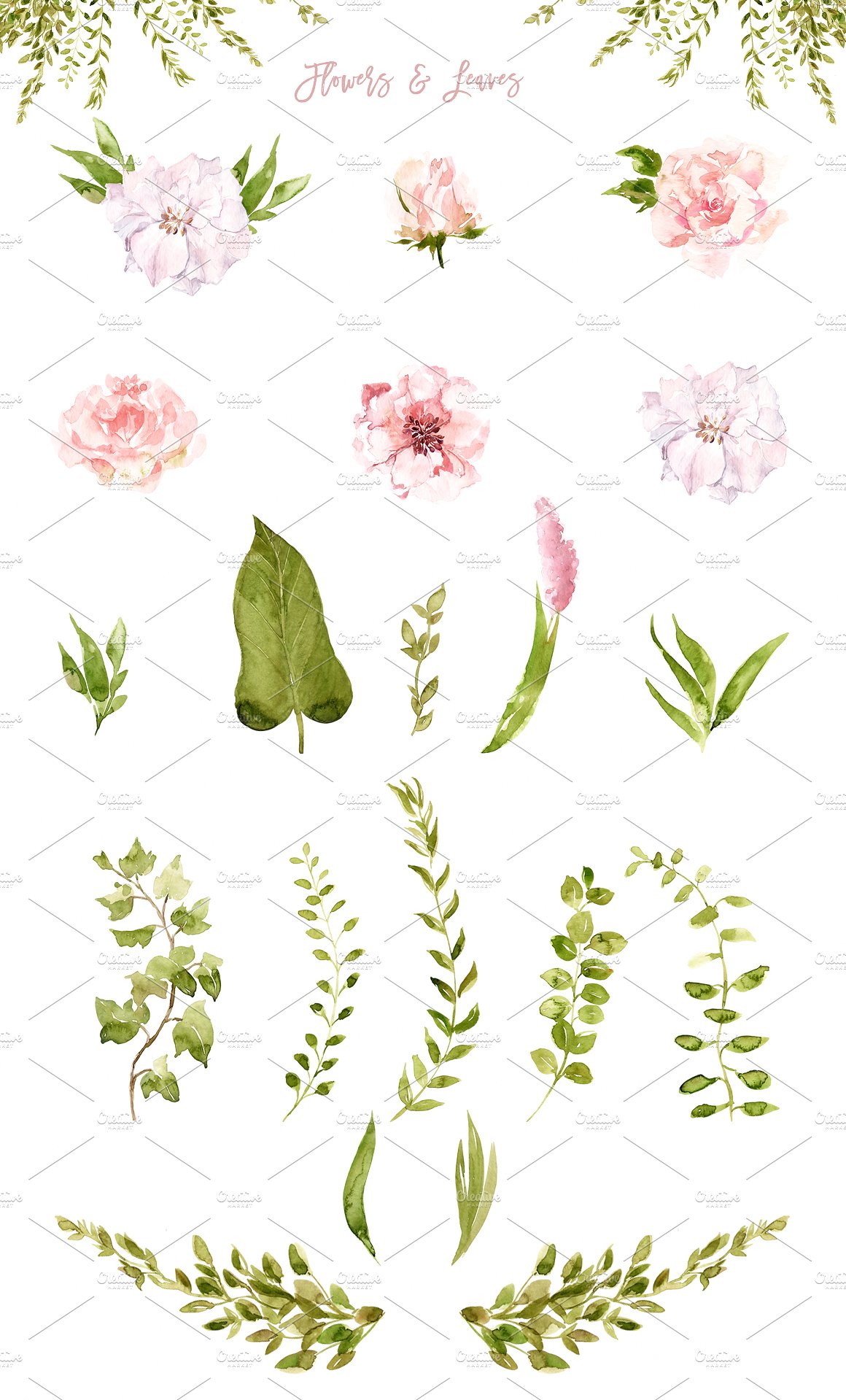 手绘水彩花卉植物设计素材Lush Greenery &