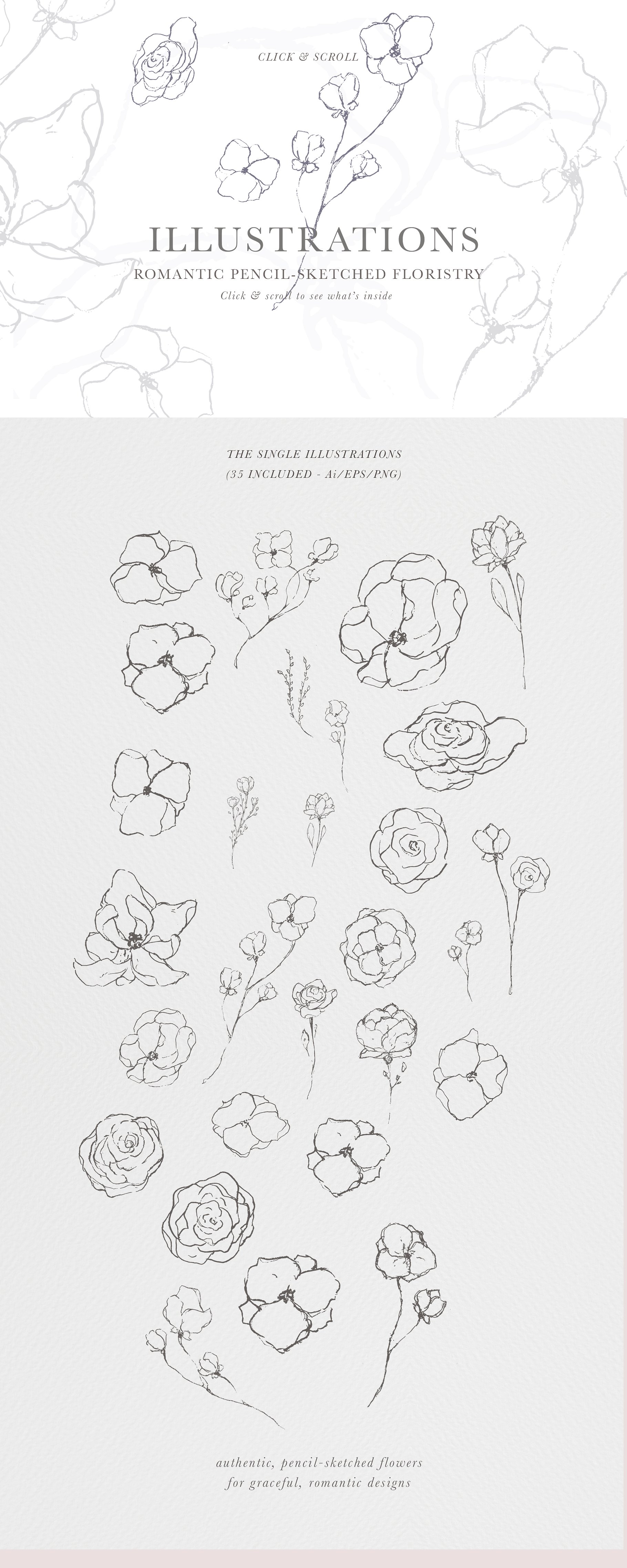 优美的花卉玫瑰金元素矢量插图素材 Graceful Flor
