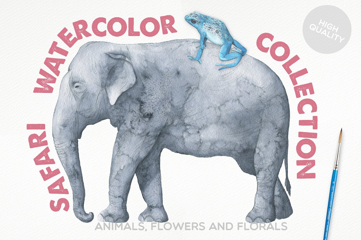 手绘水彩动物设计素材Safari Watercolor Co