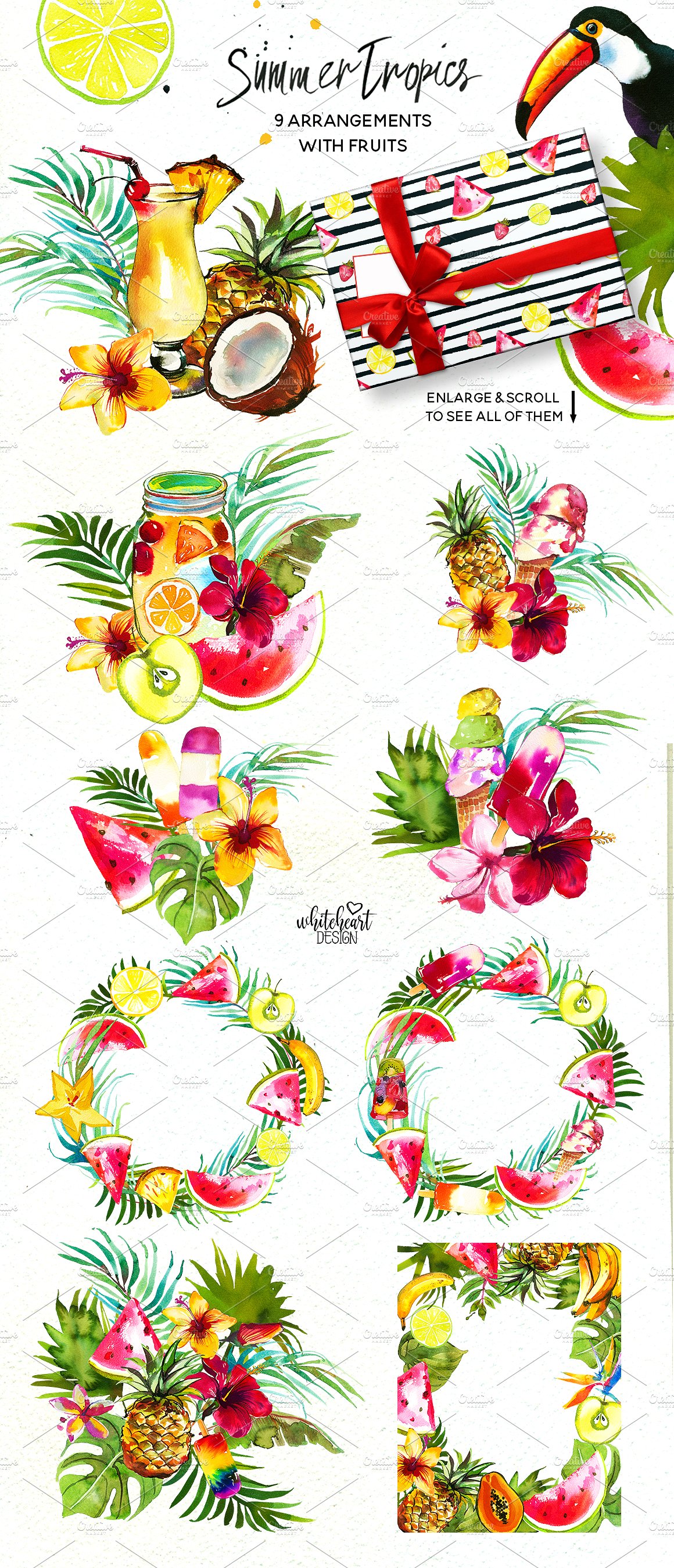 手绘水彩热带植物花卉设计素材Tropic Watercolo