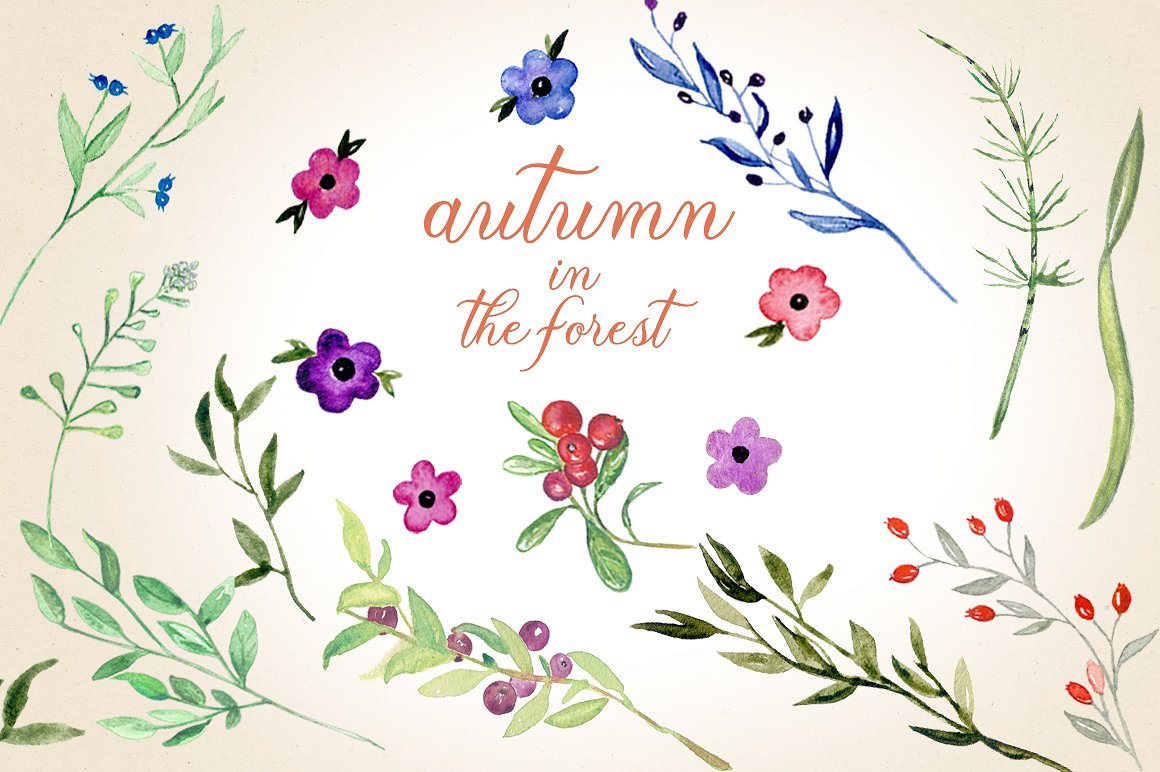 秋天的刺猬图形素材 Autumn in the forest