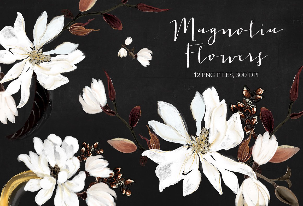 手绘水彩玉兰花设计师素材Magnolia Flowers