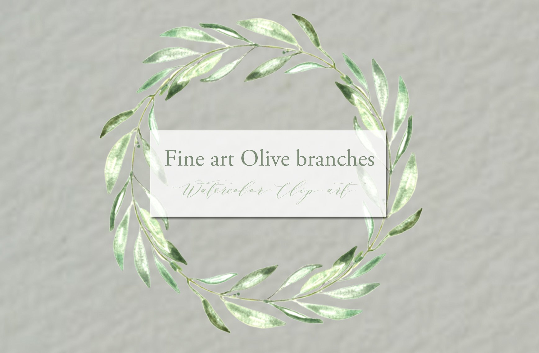 手绘水彩艺术橄榄枝设计素材Olive branches. F