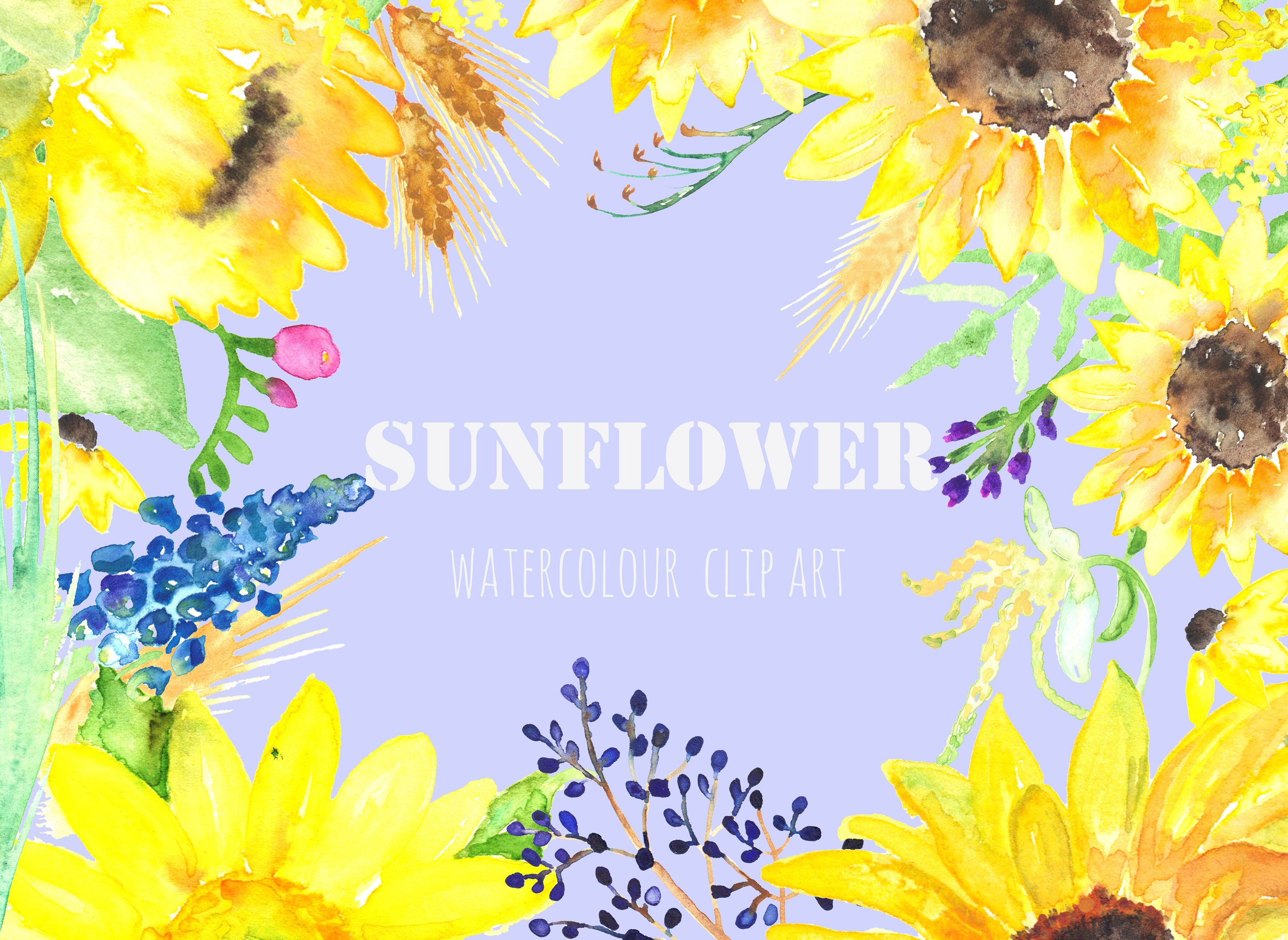 手绘水彩向日癸设计素材Sunflower Watercolo