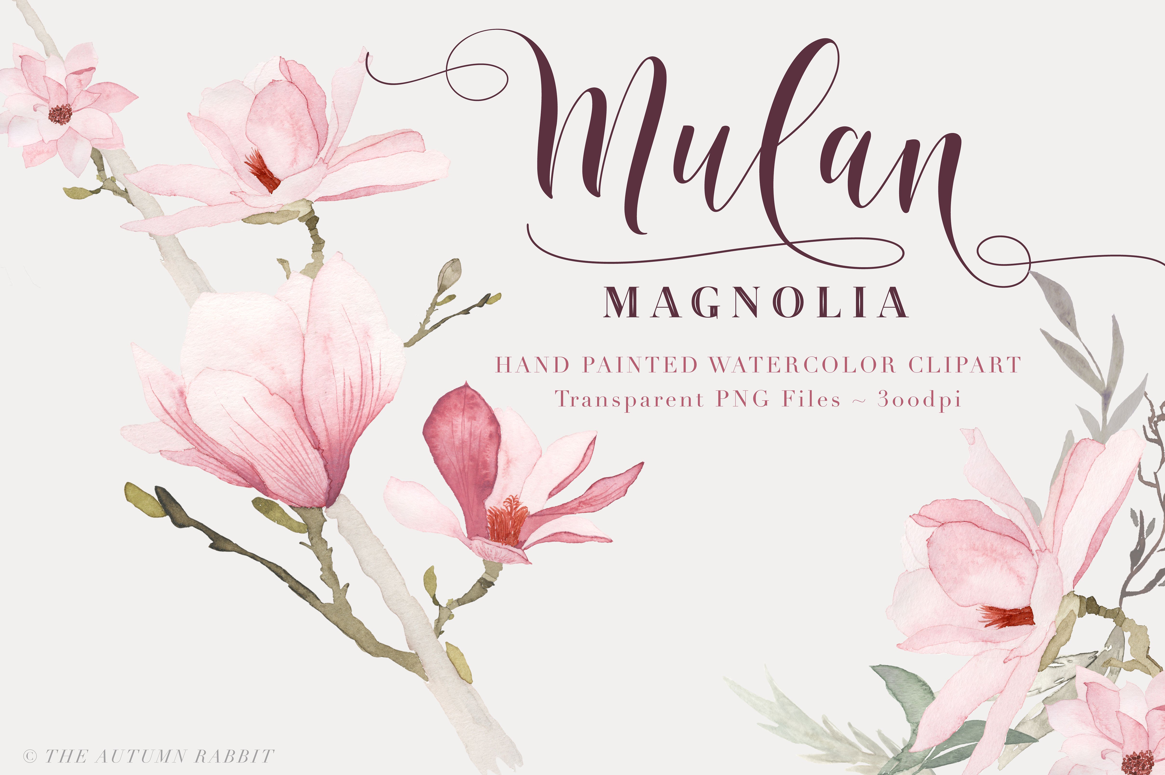 Watercolor Magnolia Floral Cli