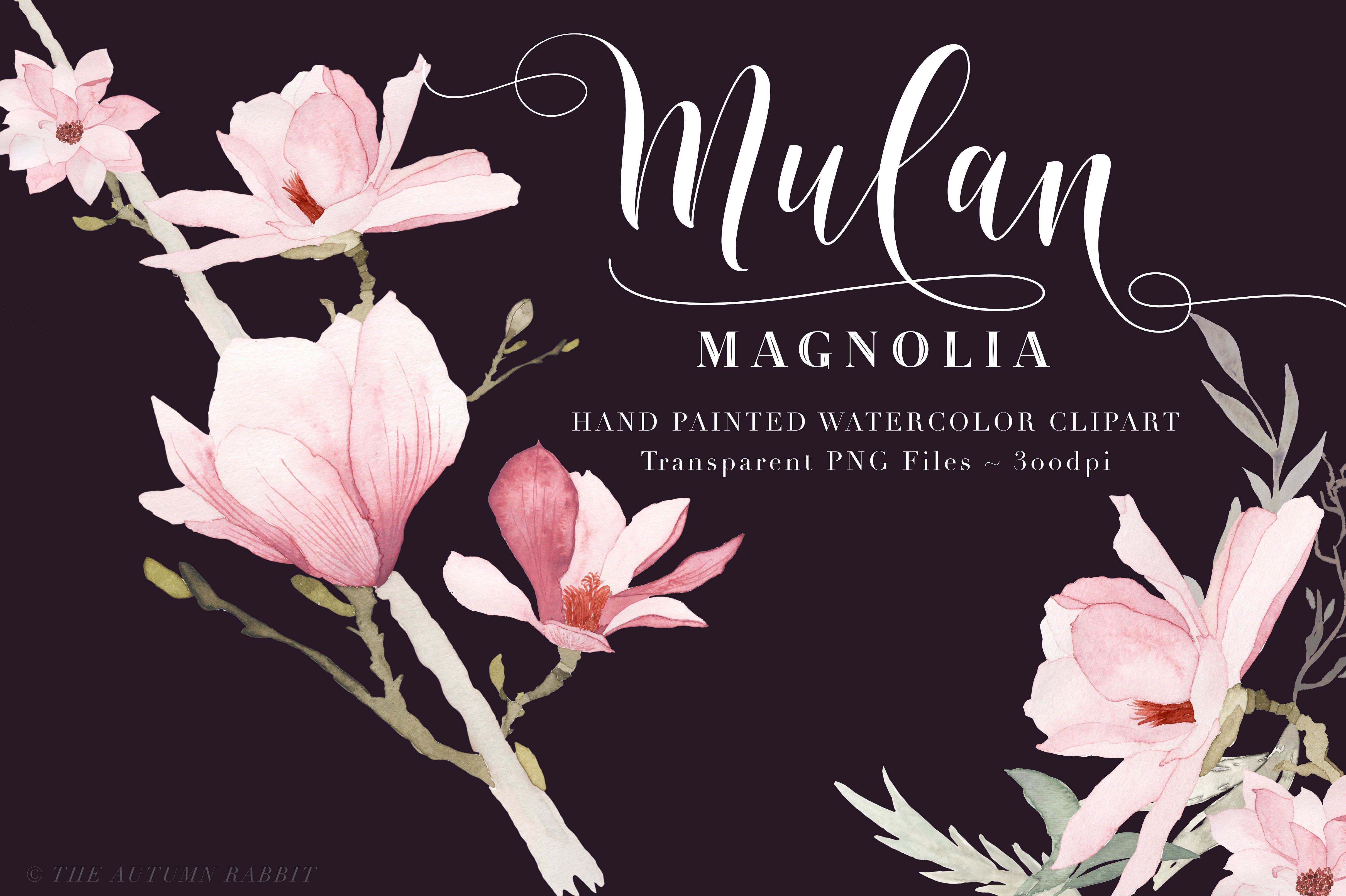 Watercolor Magnolia Floral Cli