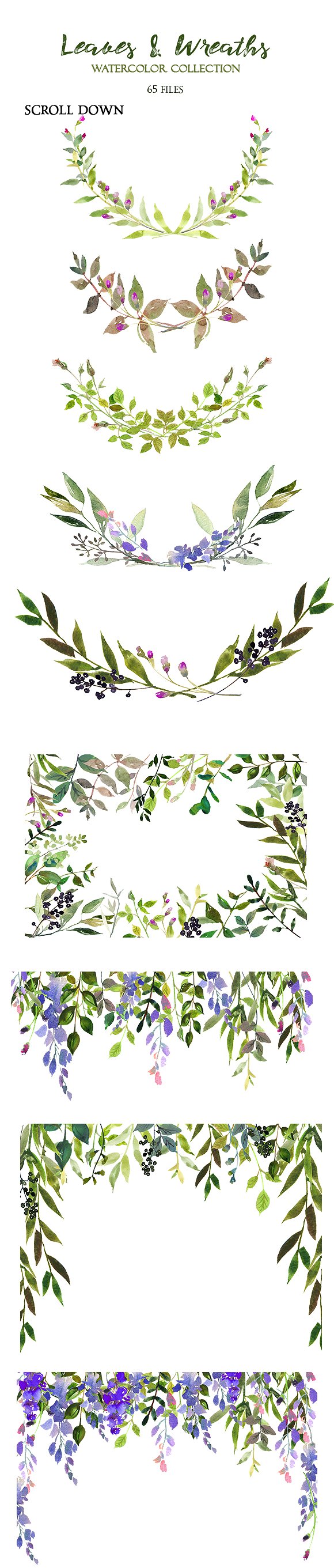 手绘水彩植物设计素材Leaves and Wreaths W