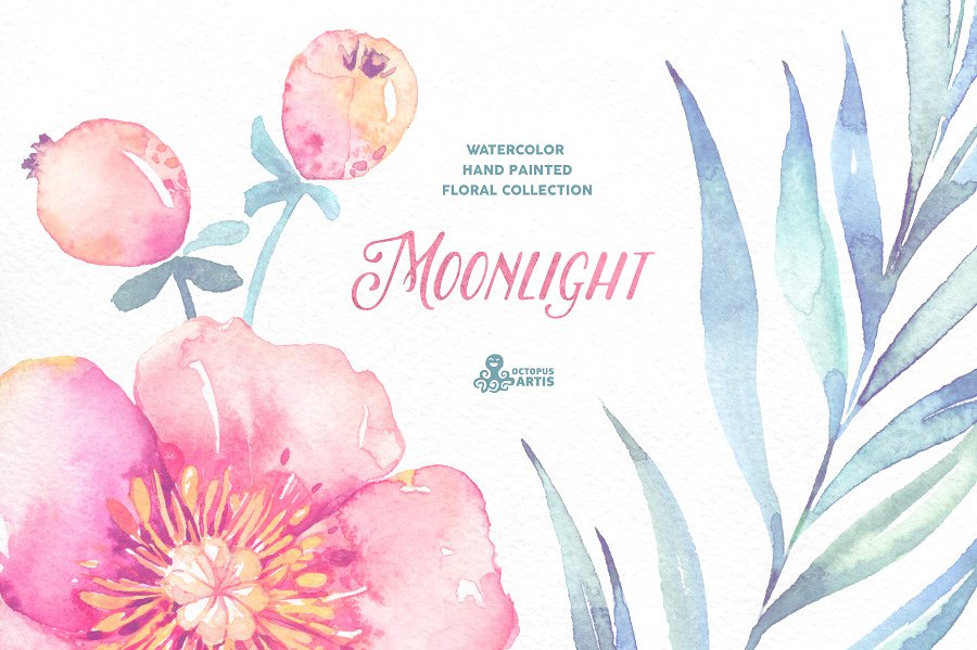 手绘水彩花卉植物设计素材Moonlight. Floral