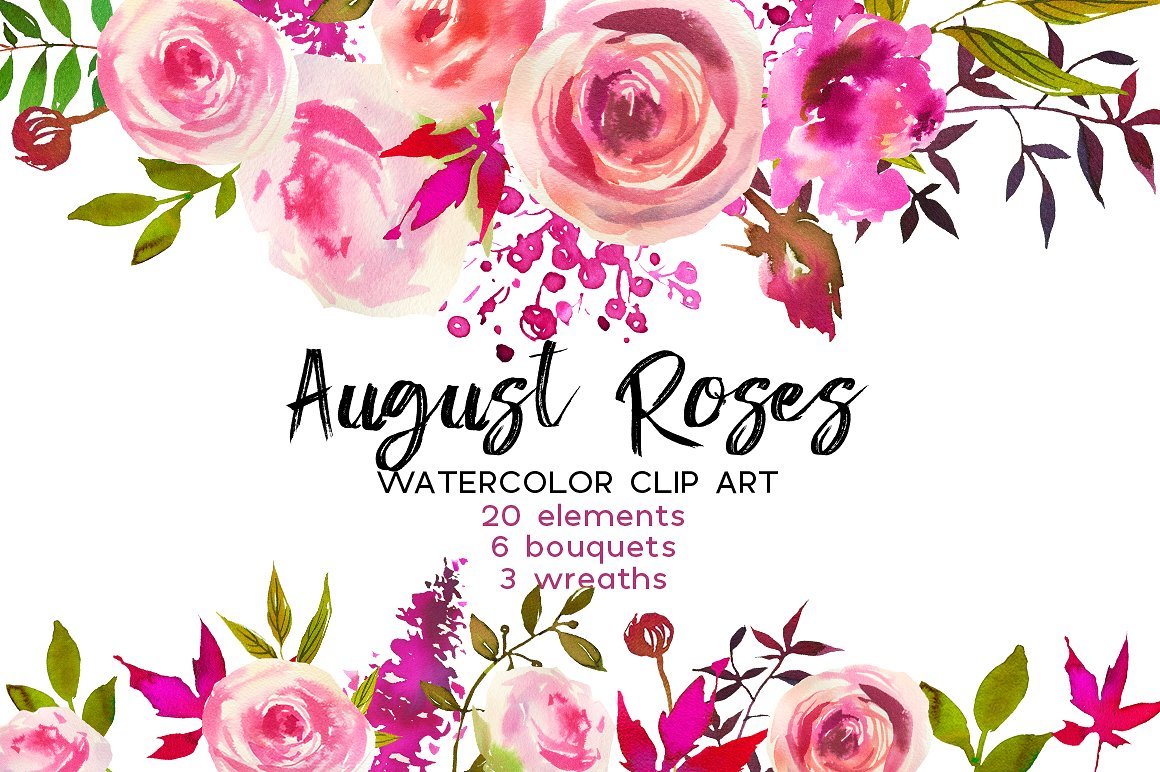 手绘水彩植物花卉设计素材August Roses Water