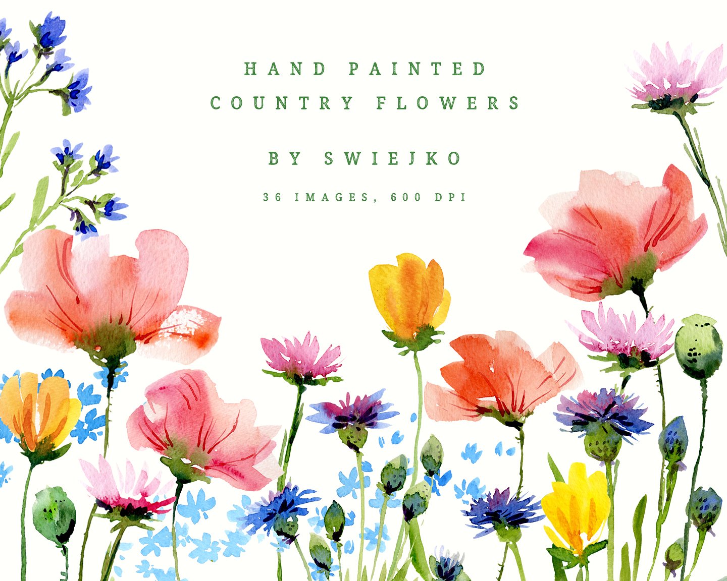 Hand painted country flowers