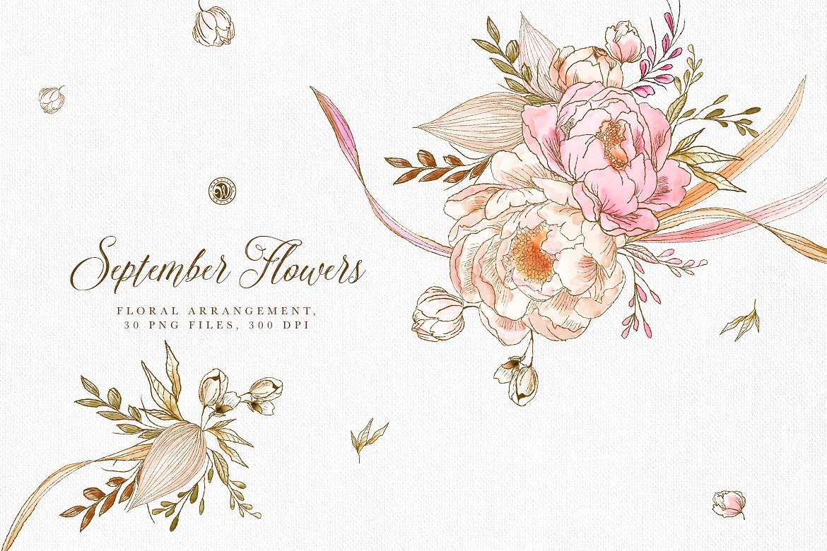 手绘花卉植物设计素材September Flowers #1