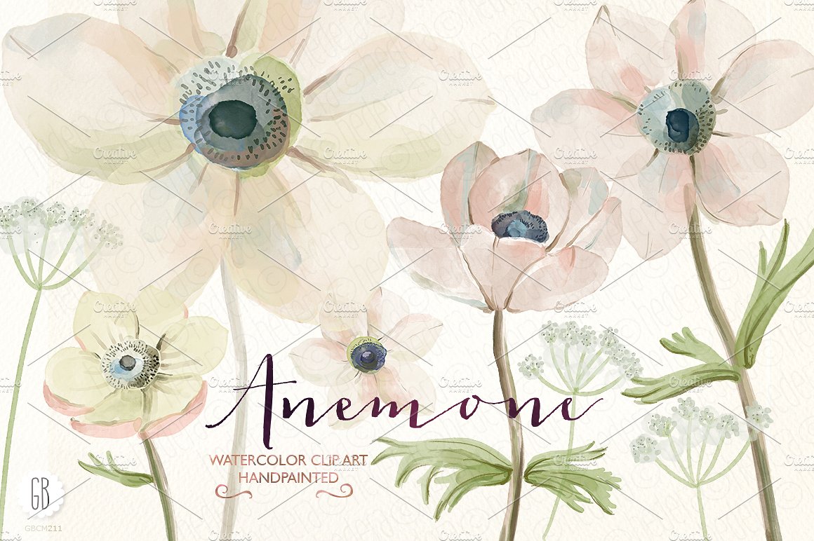 Watercolor anemones