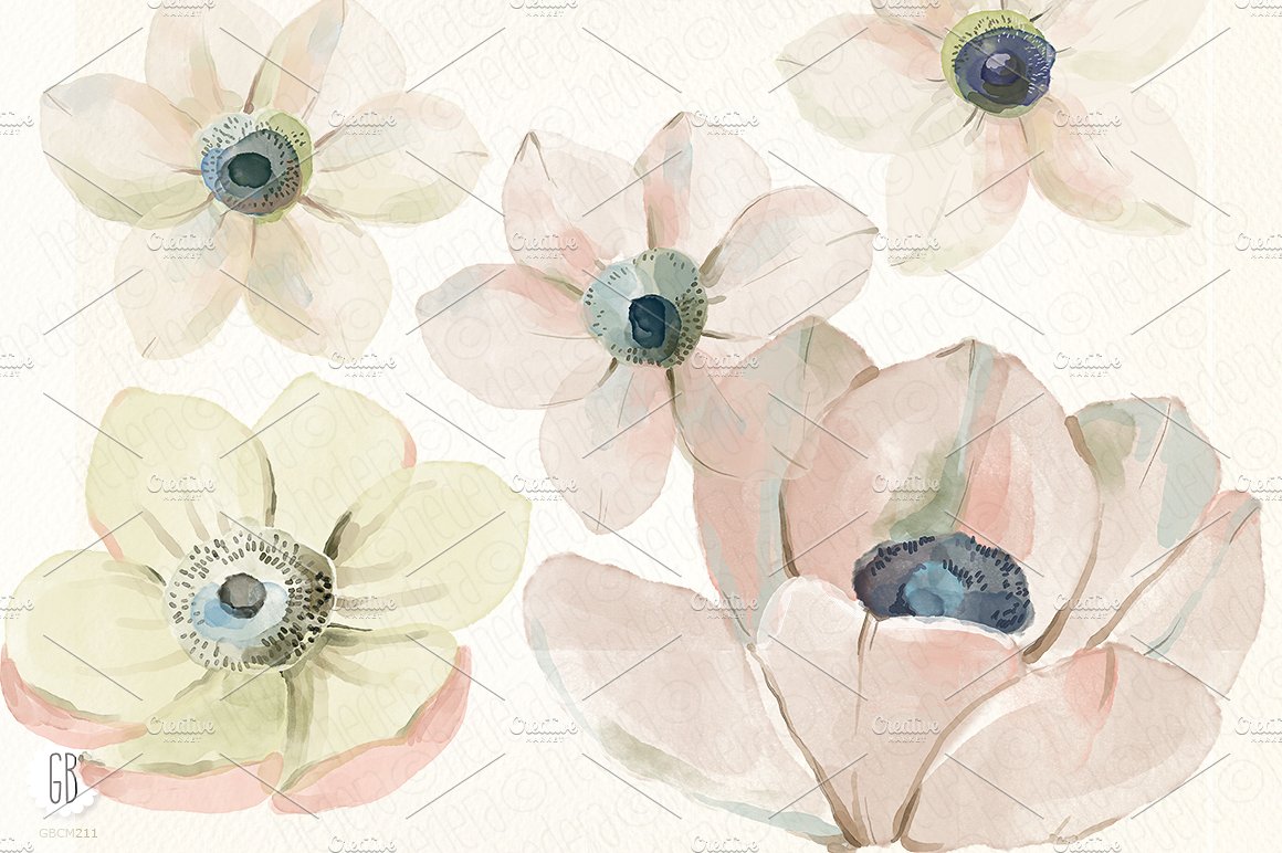 手绘水彩海葵花素材Watercolor anemones #