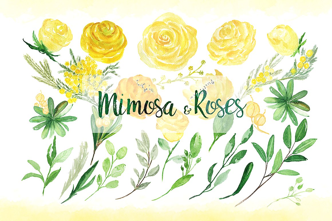 Mimosa -amp; roses yellow flo